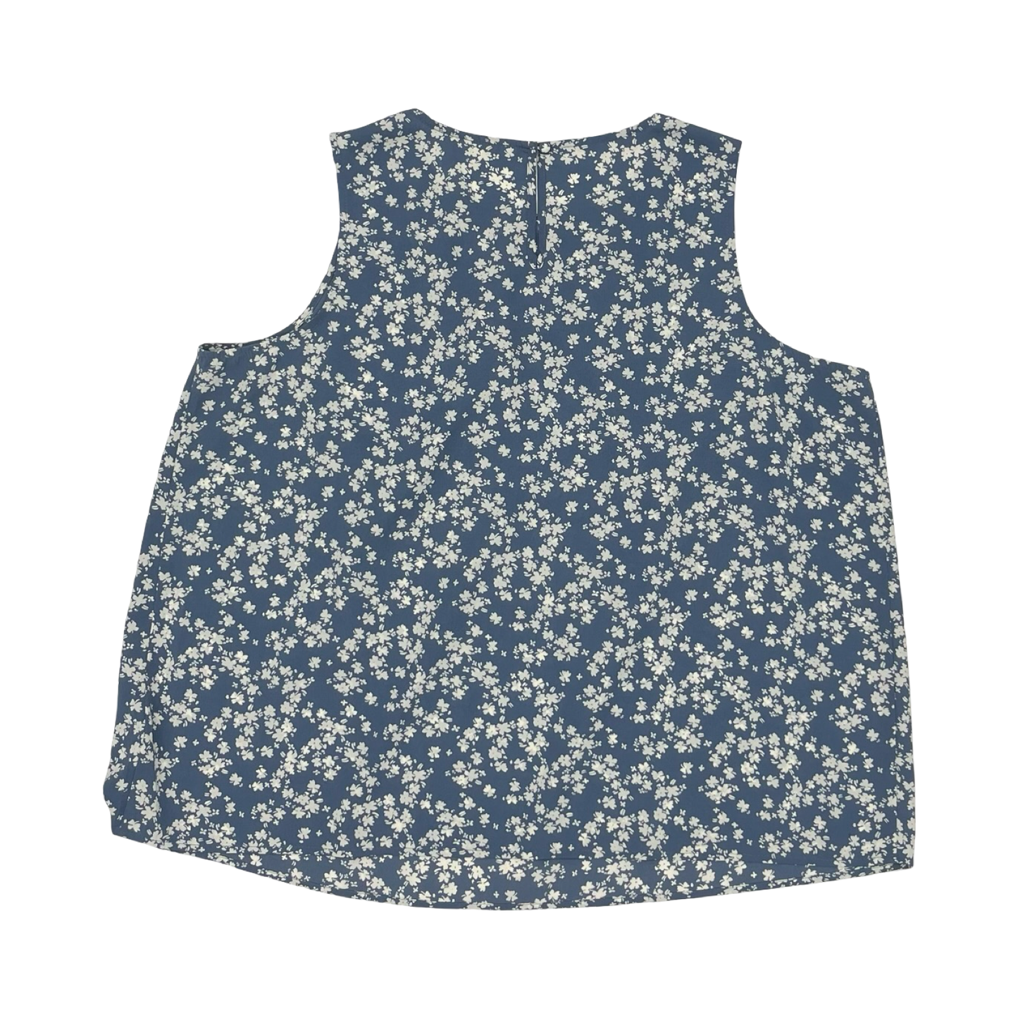 Blouse Sleeveless By Cmf In Blue & White, Size:2X