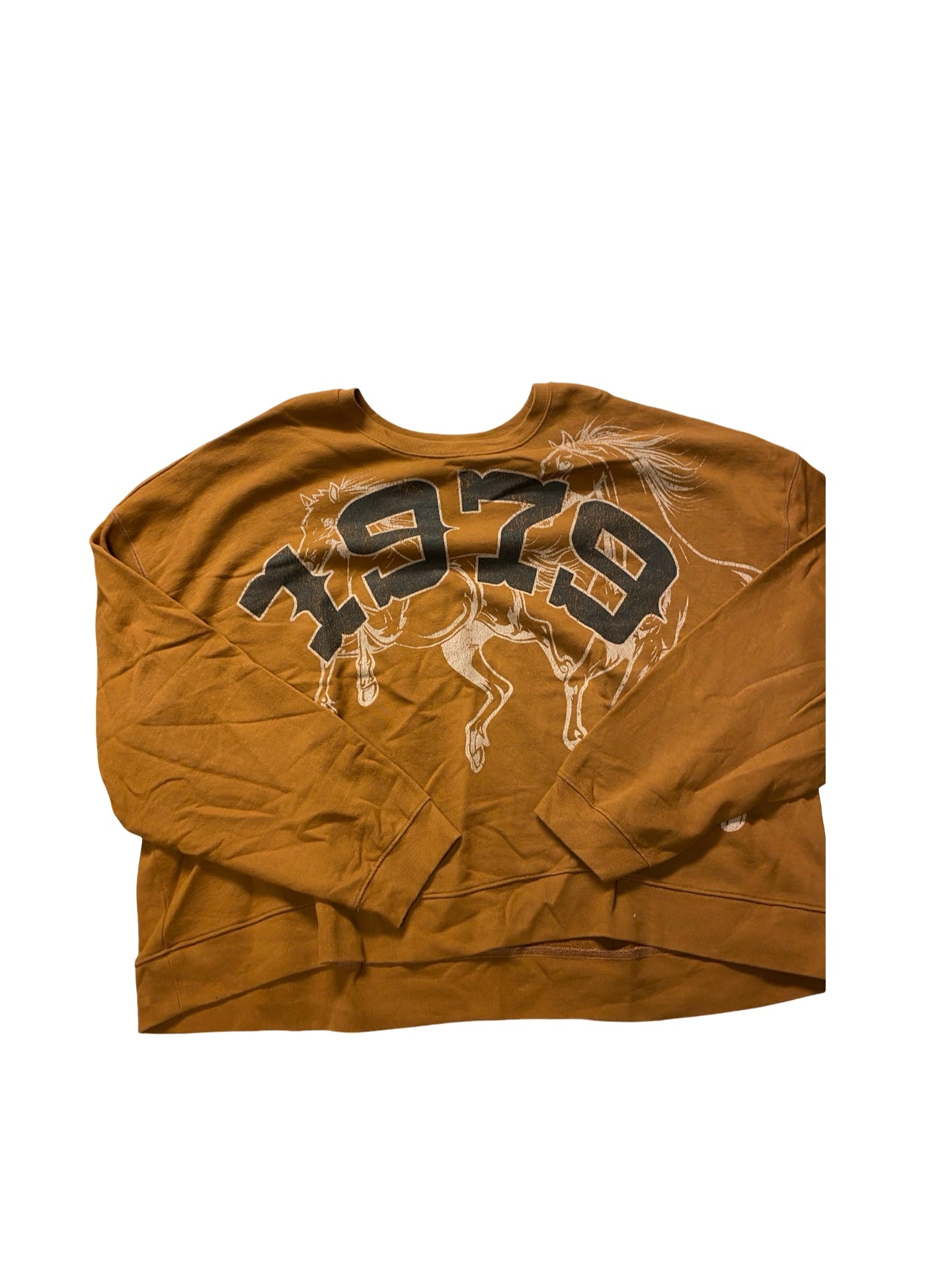 Sweatshirt Crewneck By Pilcro In Brown, Size:2X