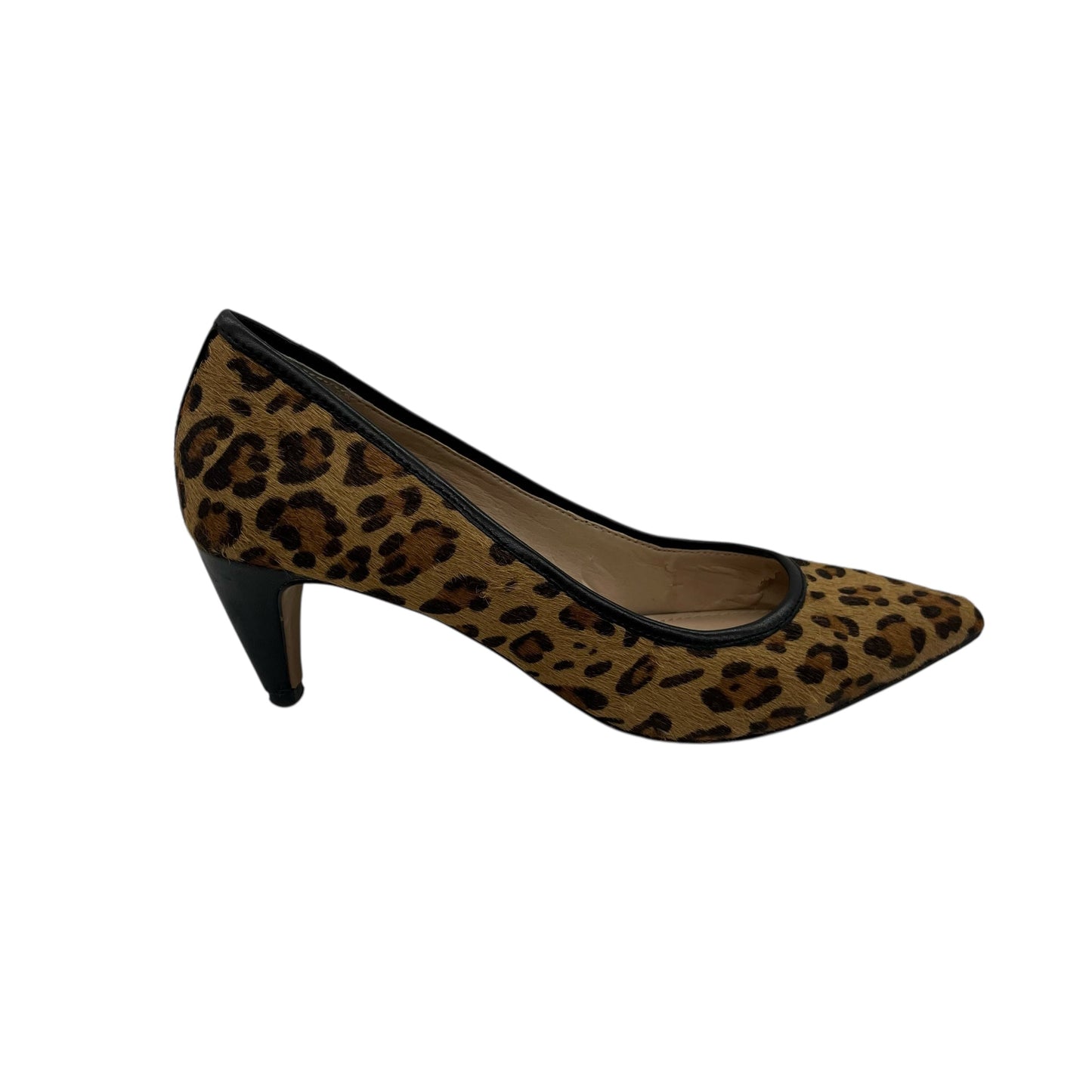 Shoes Heels Kitten By French Connection In Animal Print, Size:7.5