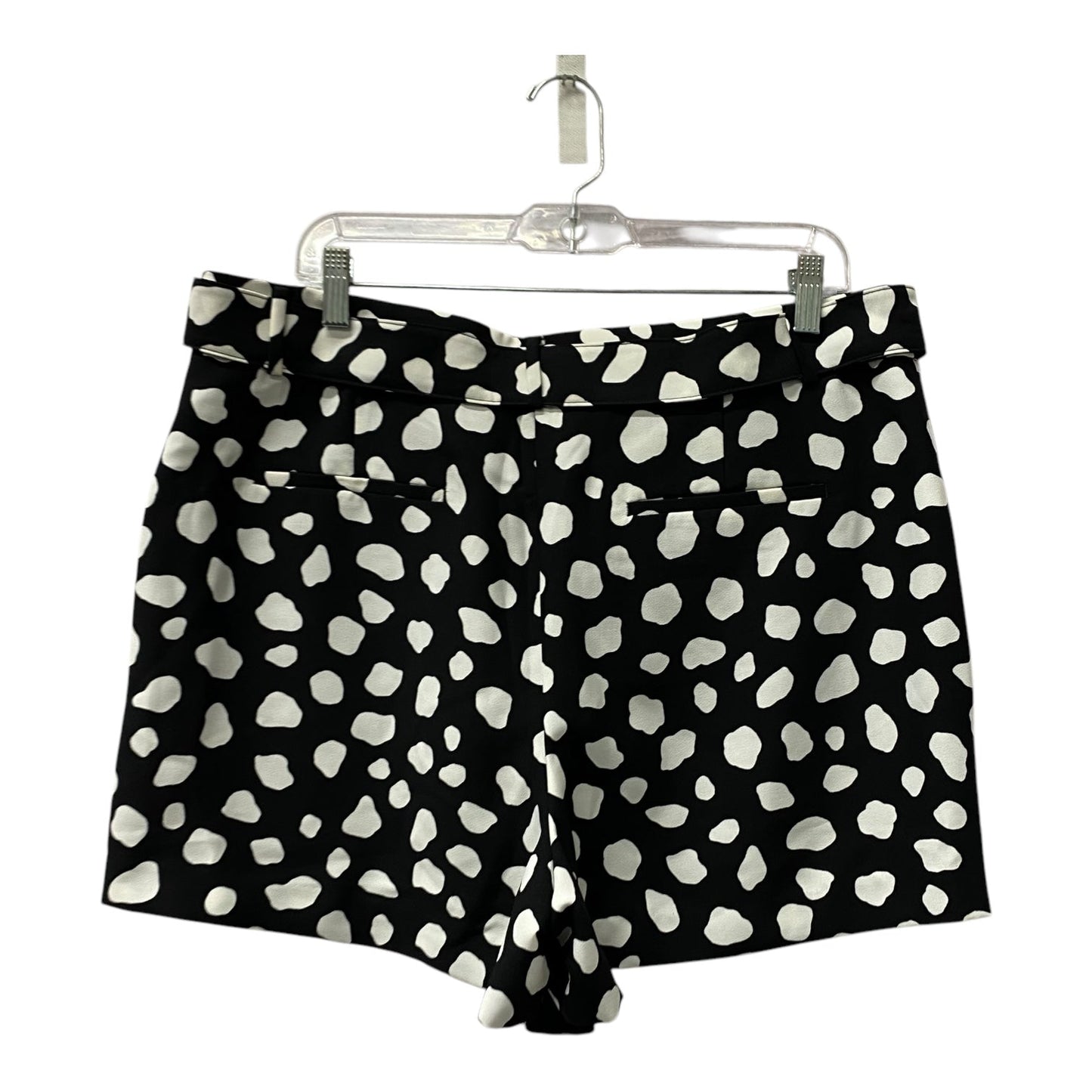 Shorts By Ann Taylor In Black & White, Size:14