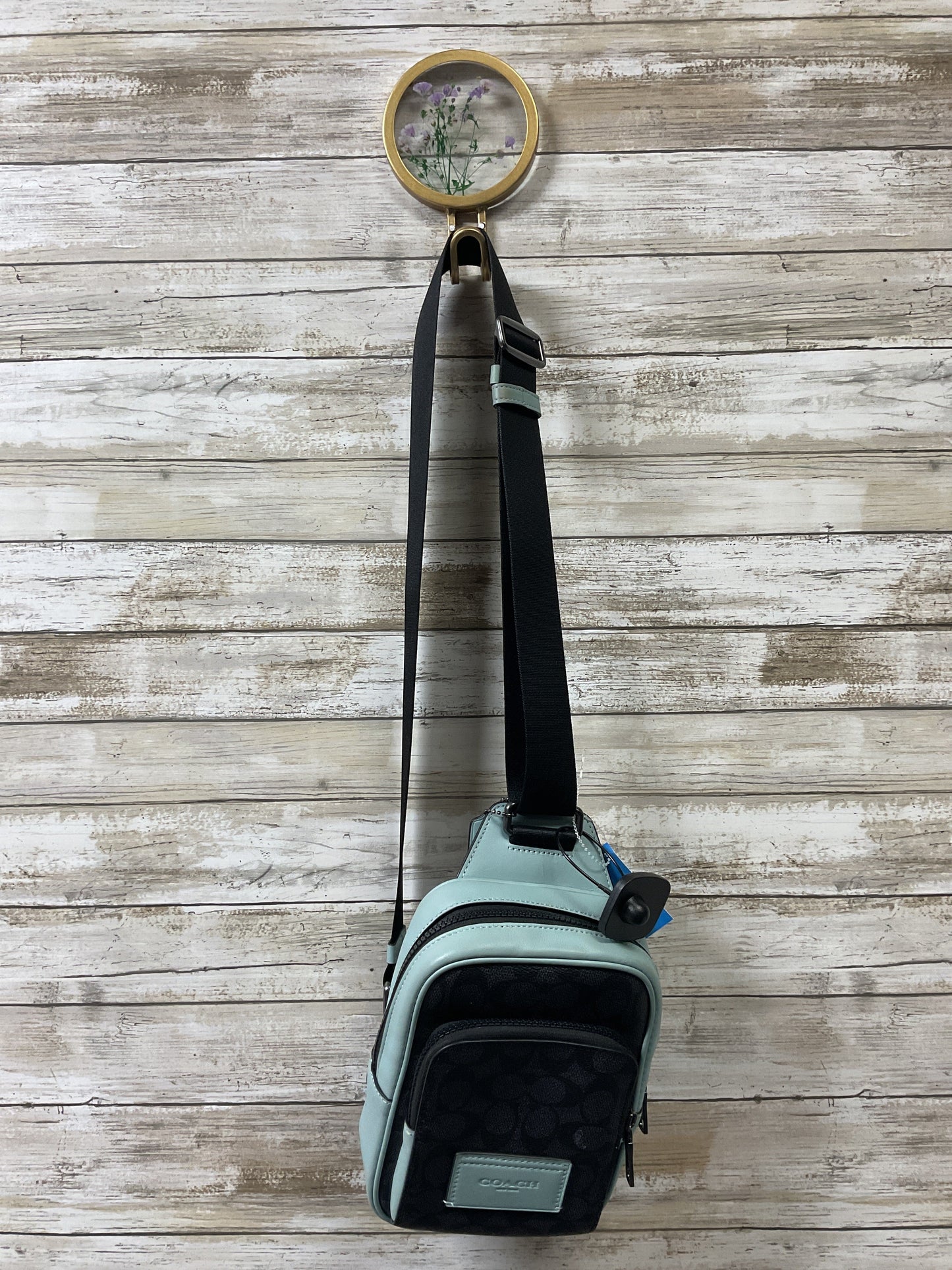 Backpack Designer By Coach In Black & Blue, Size:Small