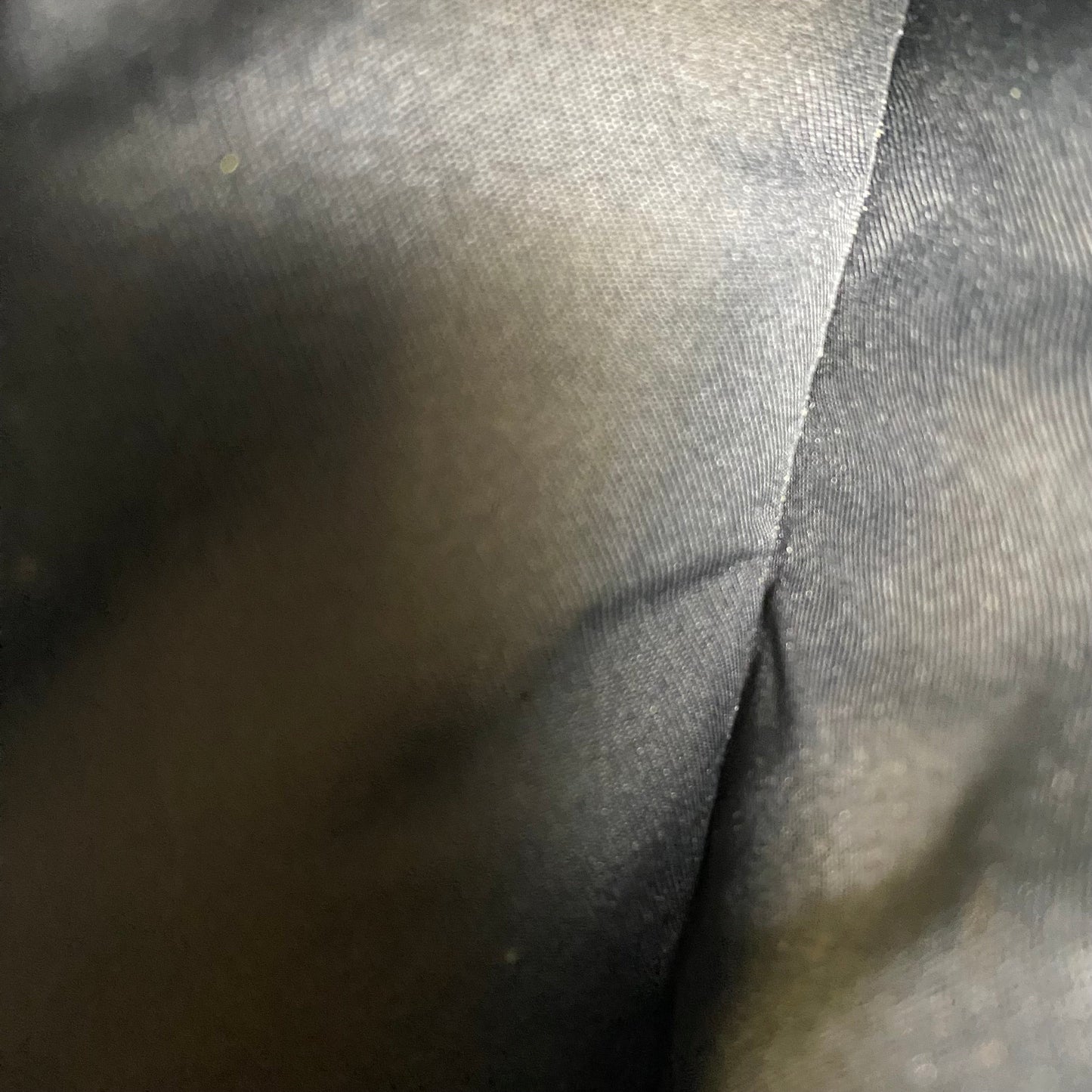 Crossbody Designer By Coach, Size: Small