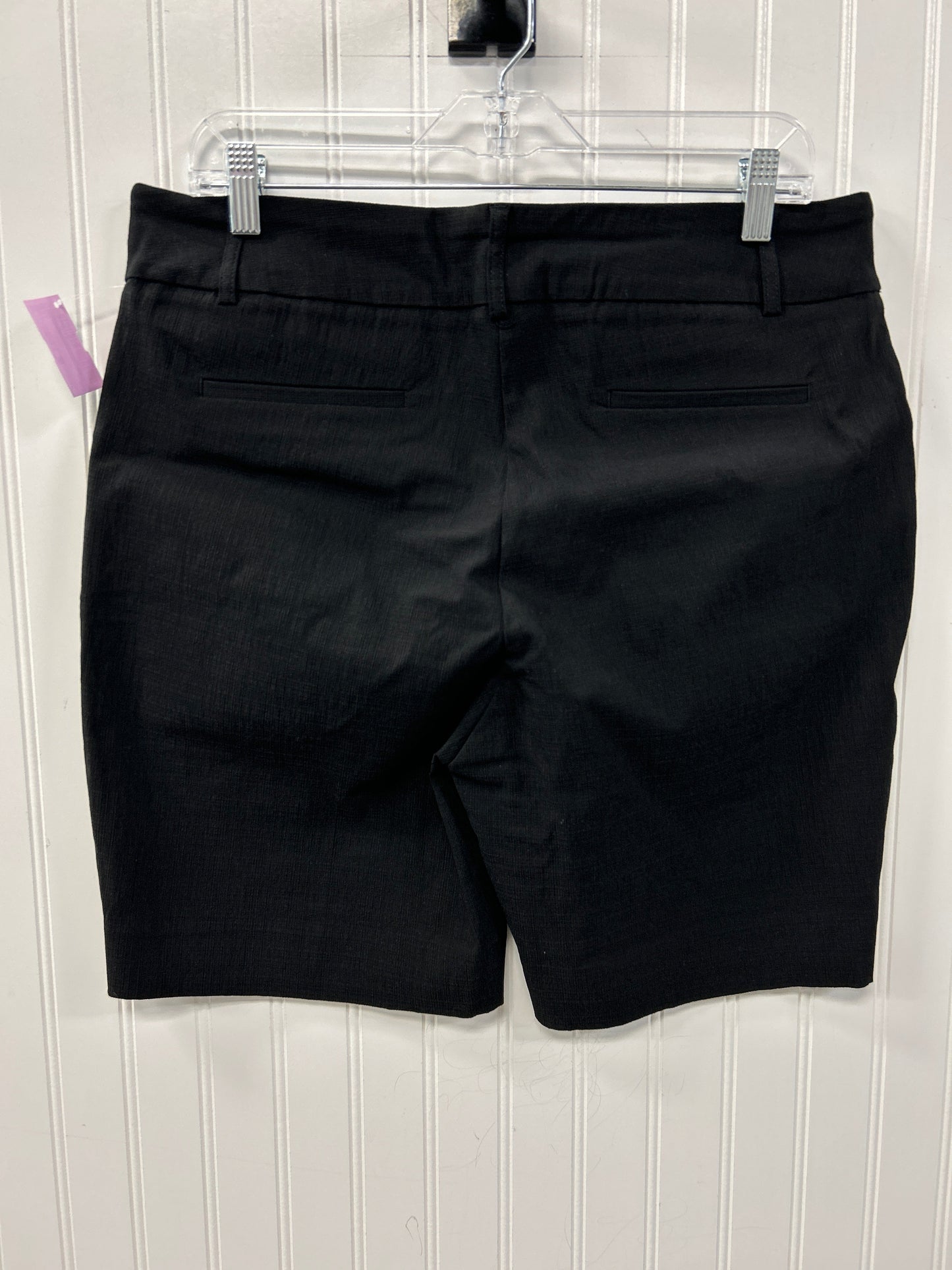 Shorts By Hilary Radley In Black, Size:L