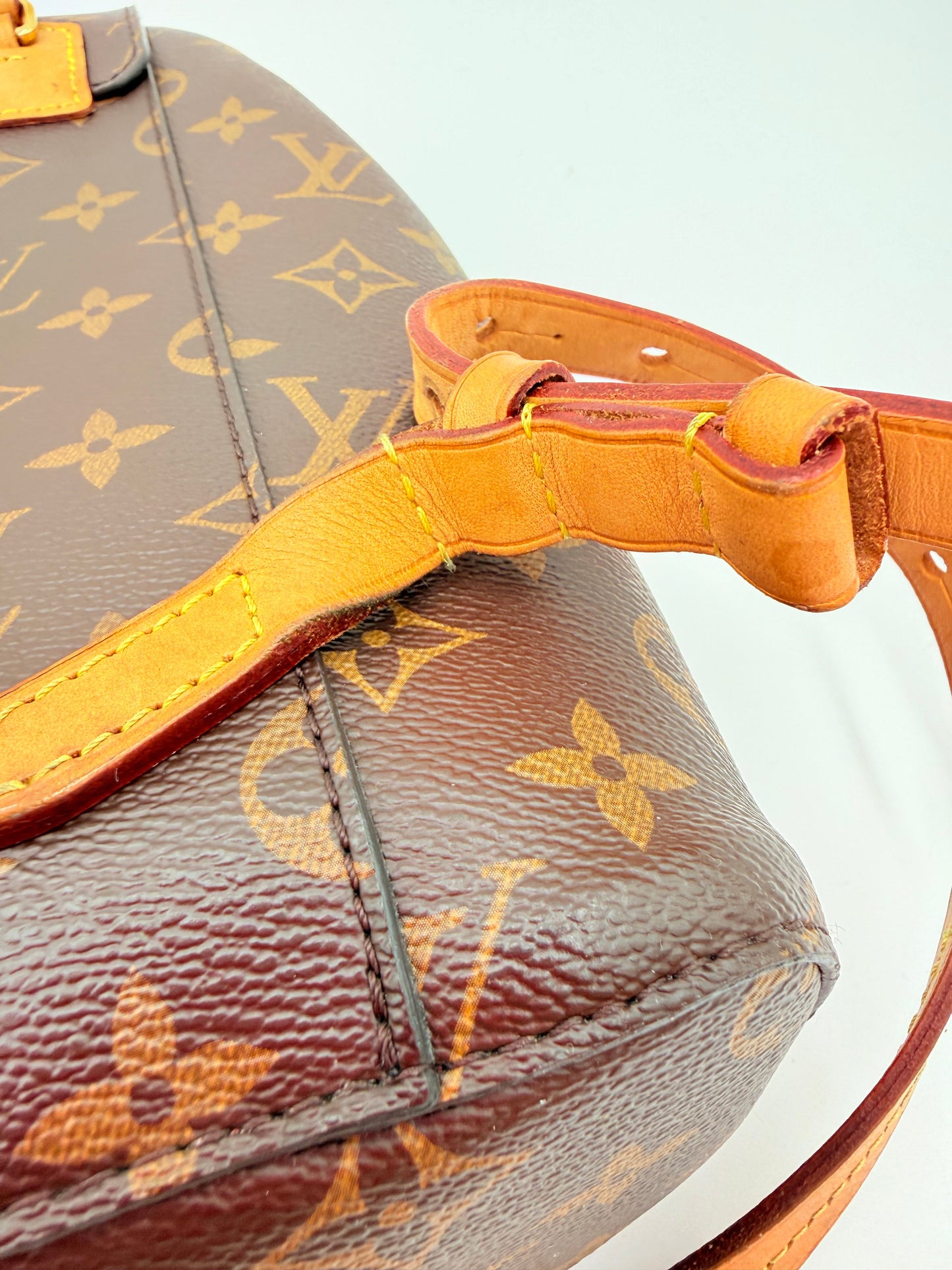 Backpack Luxury Designer By Louis Vuitton In Brown, Size:Medium