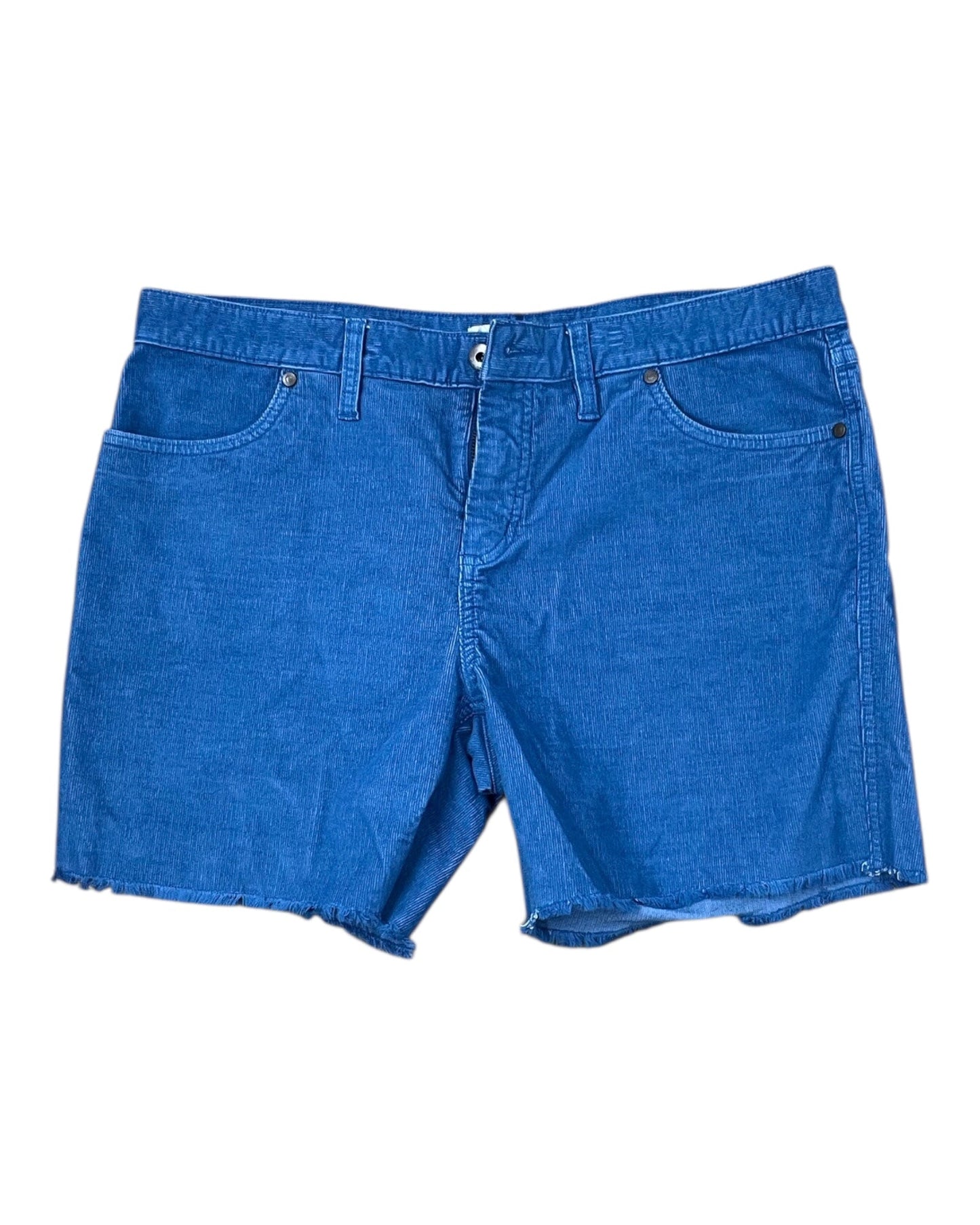 Shorts By Carve Designs In Blue, Size:10