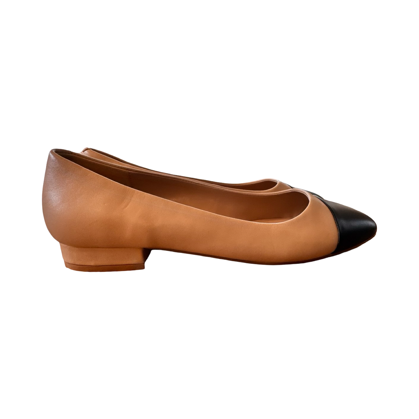 Shoes Flats By Steve Madden In Black & Tan, Size:9.5