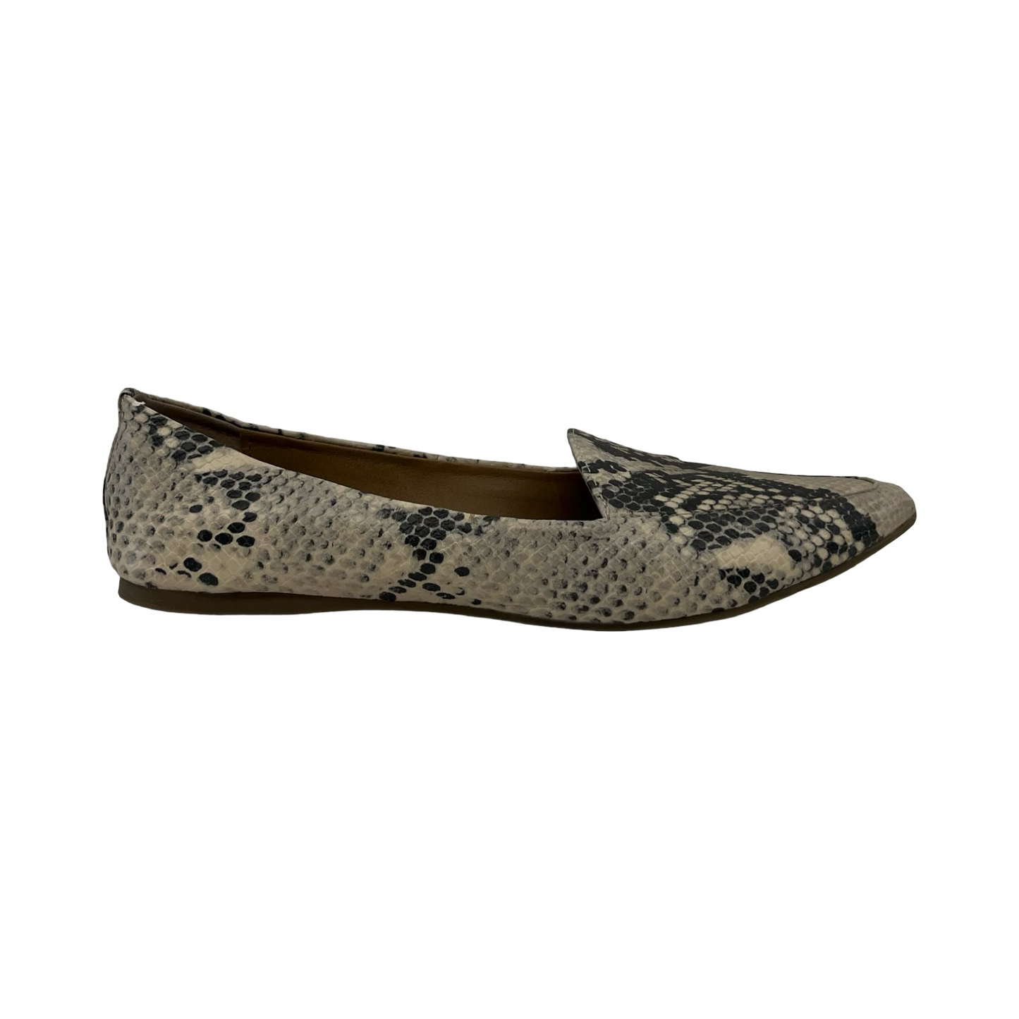 Shoes Flats By Steve Madden In Snakeskin Print, Size:8.5