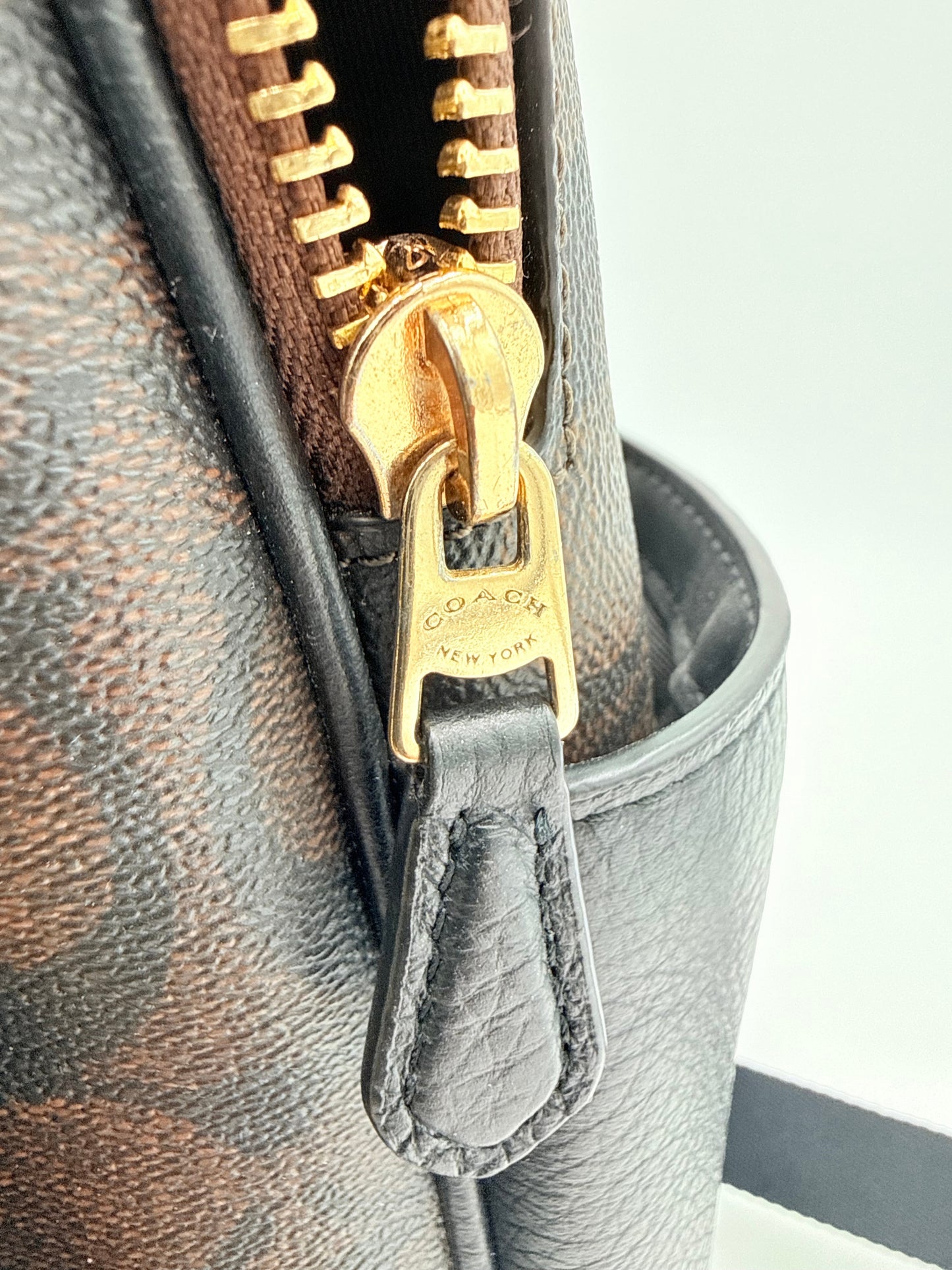 Backpack Designer By Coach, Size: Small