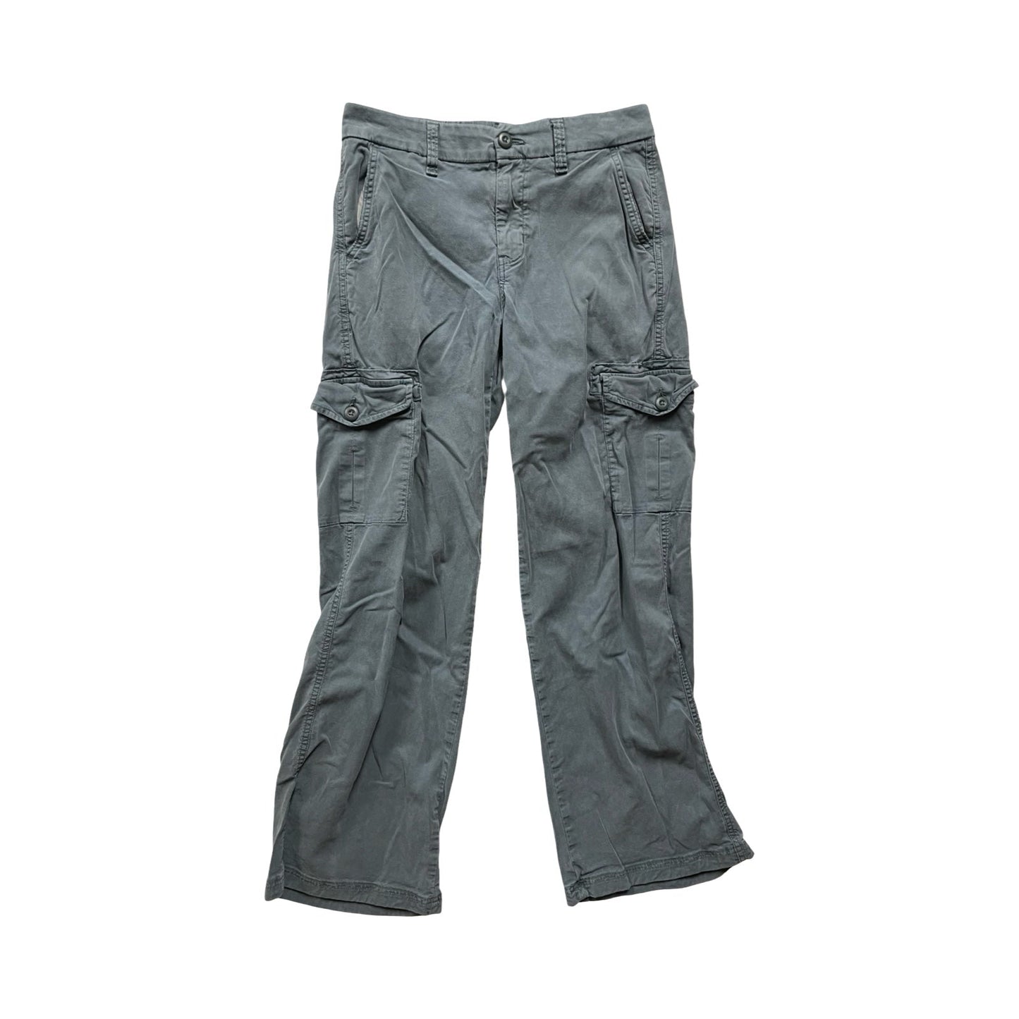 Pants Cargo & Utility By American Eagle In Blue, Size:Xxs