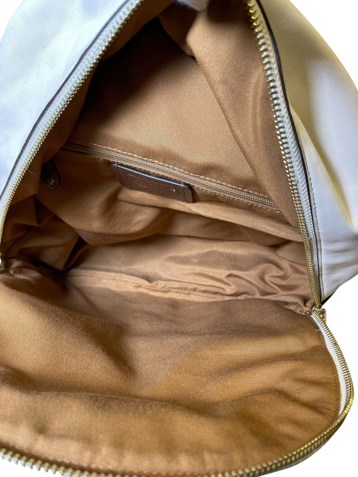Backpack Designer By Coach, Size: Medium