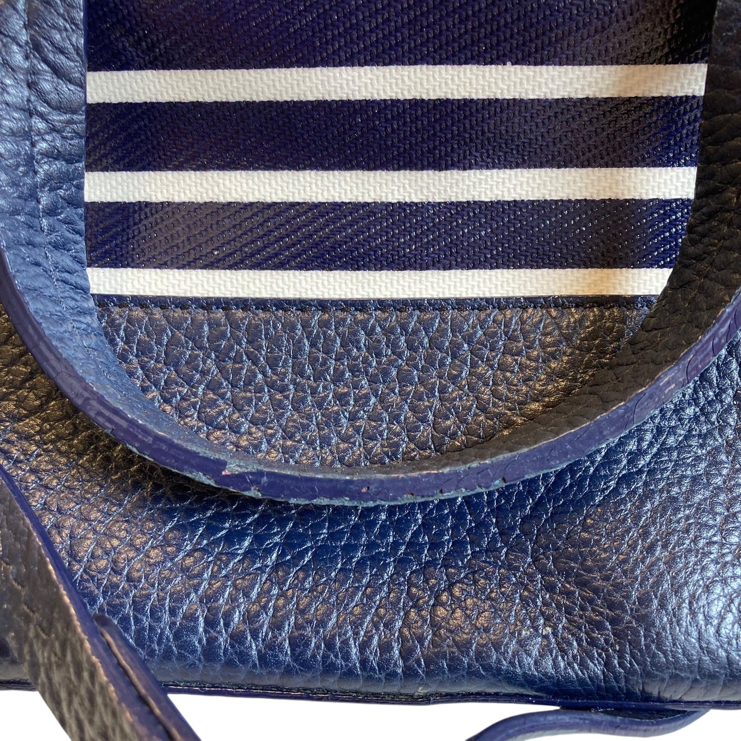 Handbag Designer By Kate Spade In Blue & White, Size:Medium