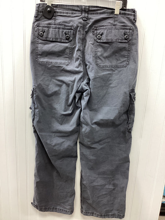 Pants Cargo & Utility By American Eagle In Grey, Size:12