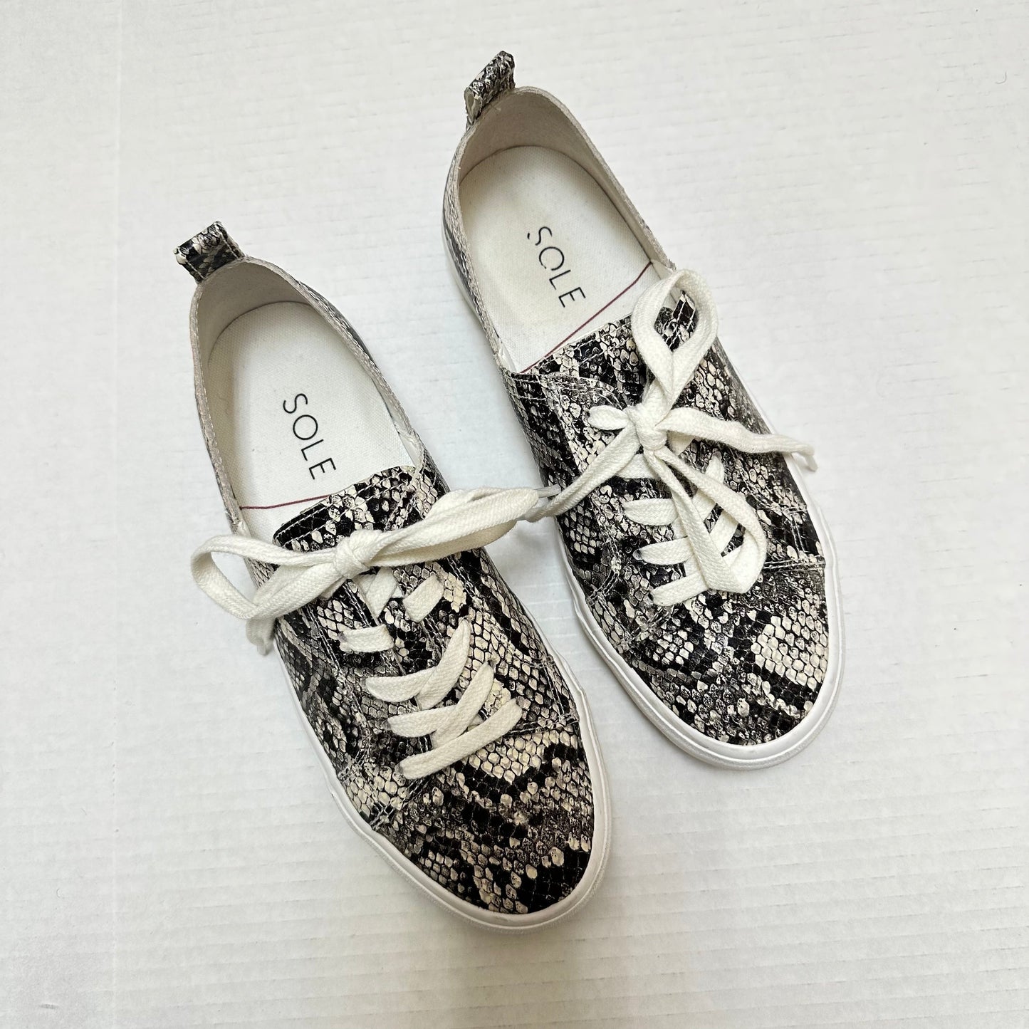 Shoes Sneakers By Sole Society In Snakeskin Print, Size:6
