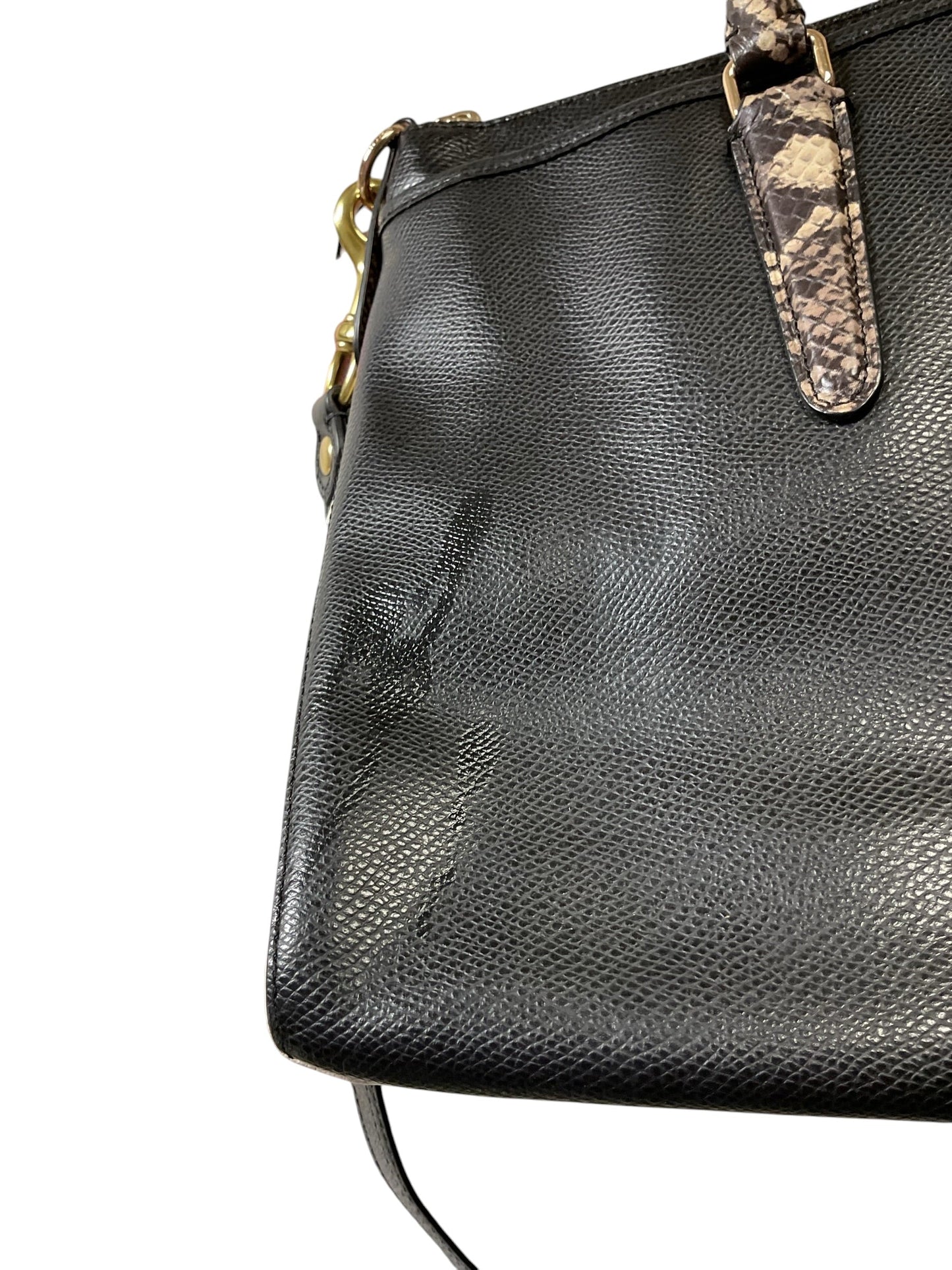 Handbag Designer By Coach In Black & White, Size:Medium