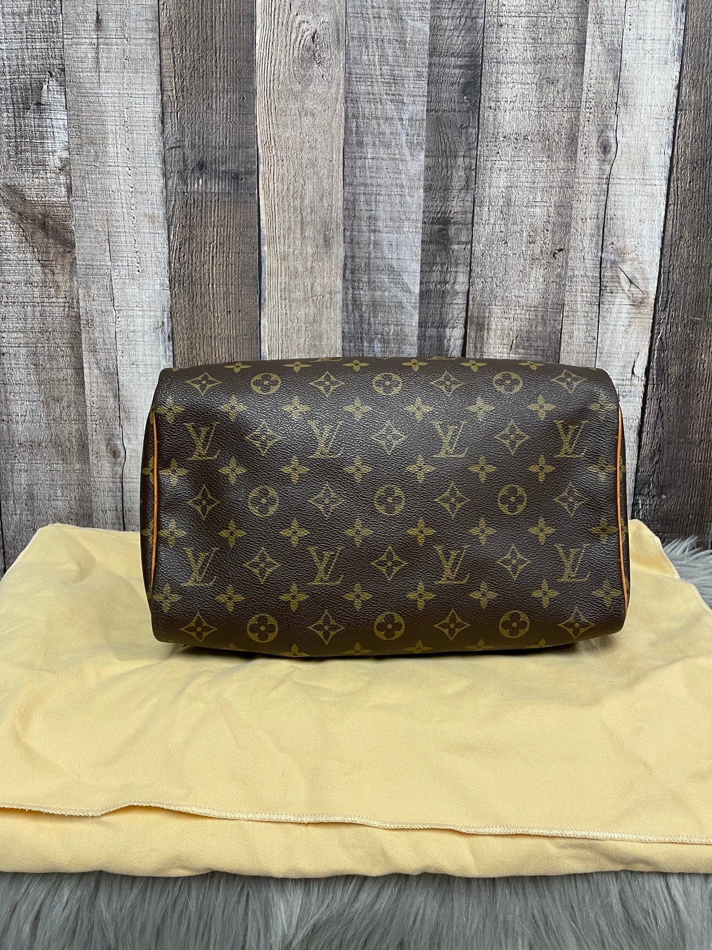 Handbag Luxury Designer Louis Vuitton, Size Large