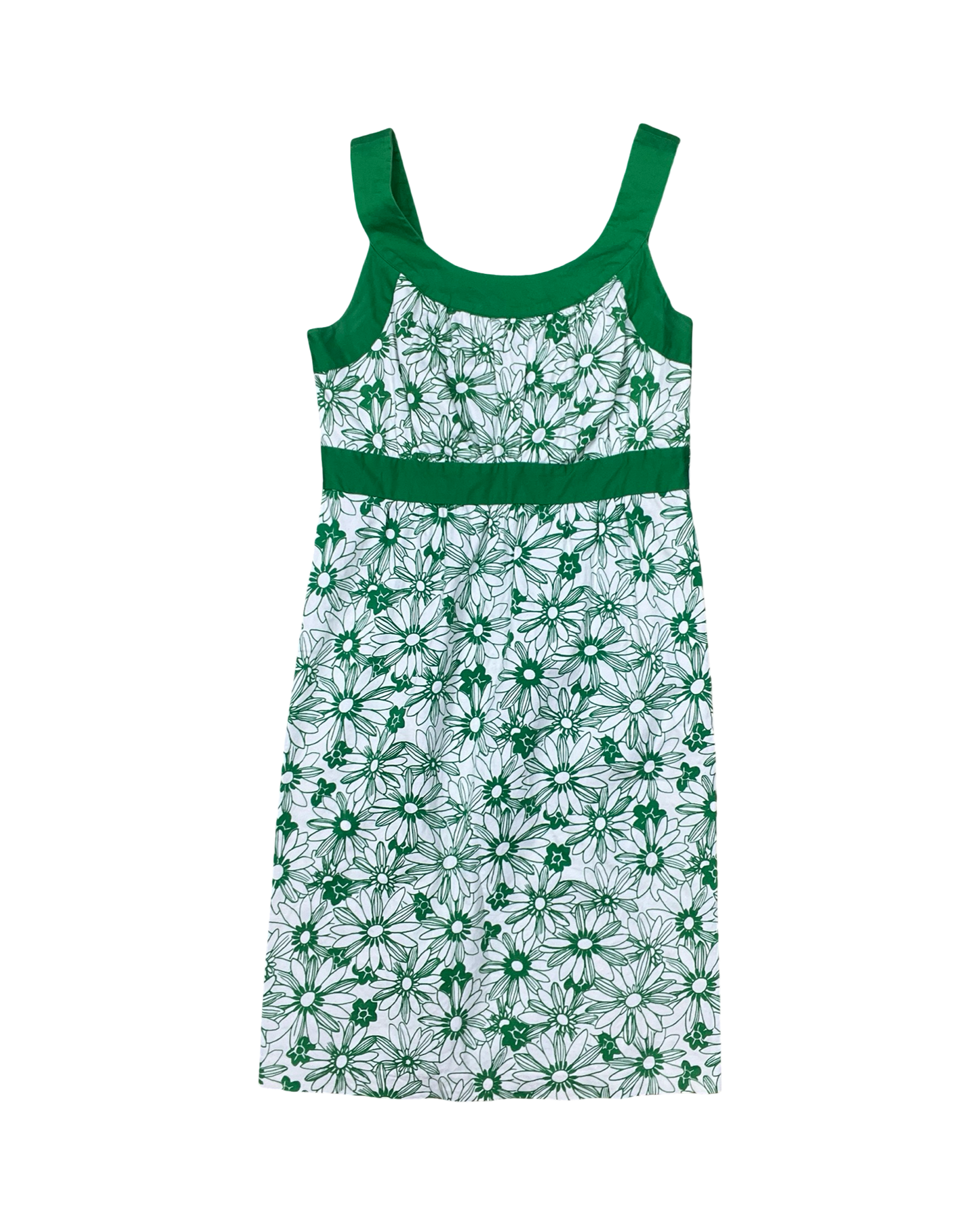 Dress Casual Short By Ana In Green & White, Size:M