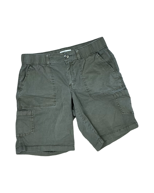 Shorts By Sonoma In Green, Size:10