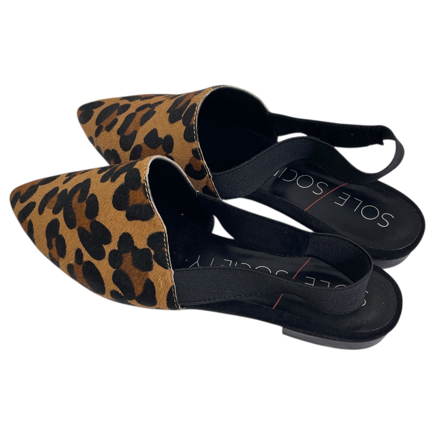Shoes Flats By Sole Society In Animal Print, Size:6.5