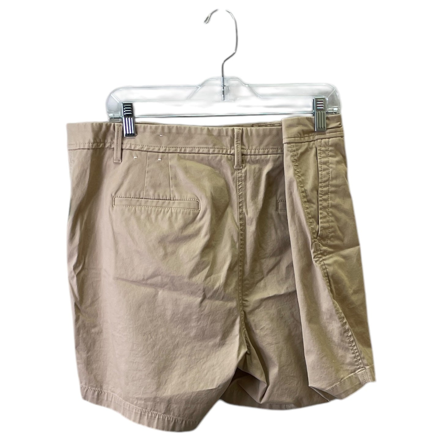 Shorts By Talbots In Taupe, Size:16