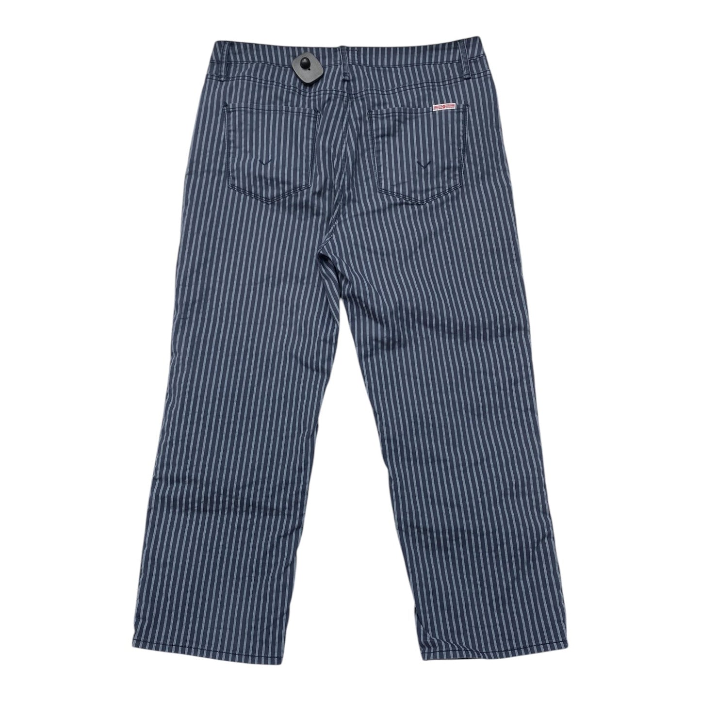 Pants Other By Hudson In Navy, Size:12