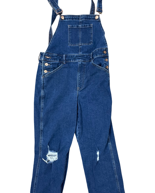 Overalls By Express In Blue Denim, Size:S