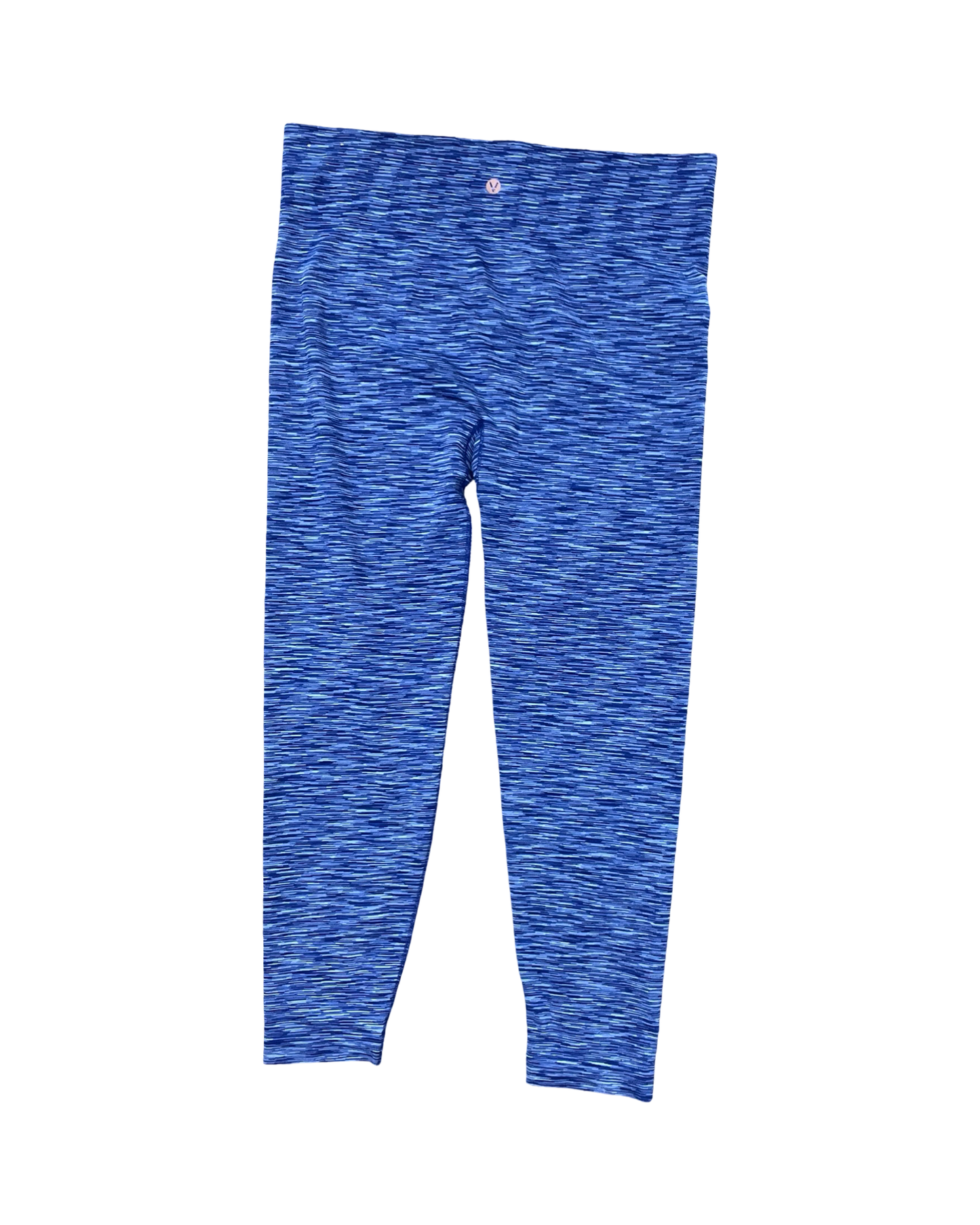 Athletic Leggings By Livi Active In Blue, Size:1X