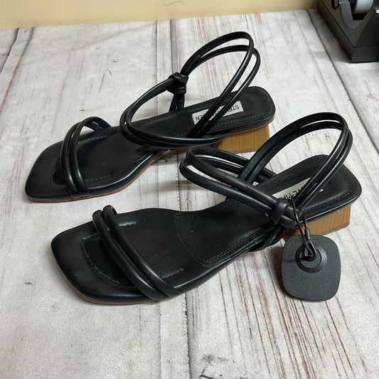 Shoes Heels Block By Steve Madden In Black, Size:7
