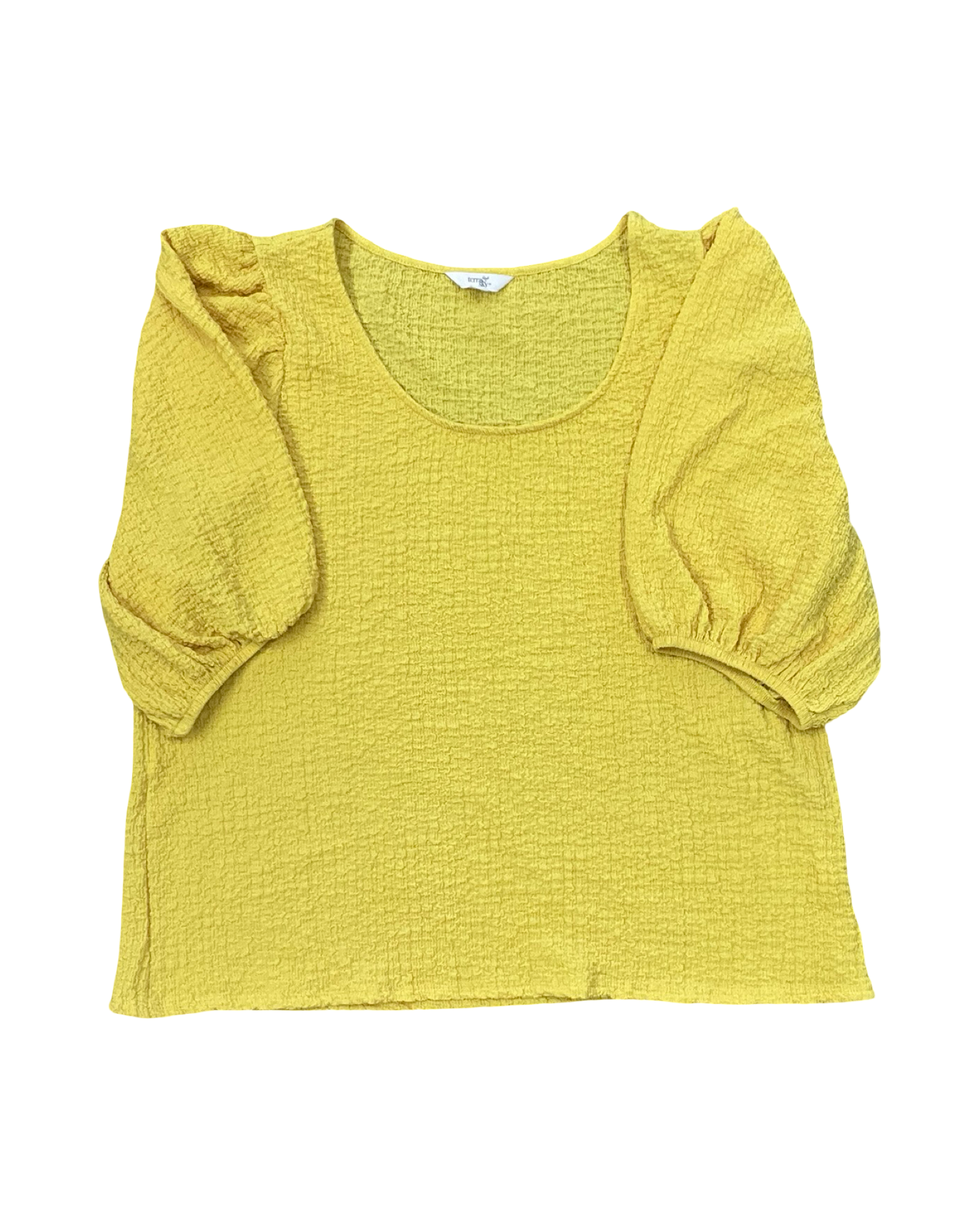 Top Ss By Terra & Sky In Yellow, Size:2X