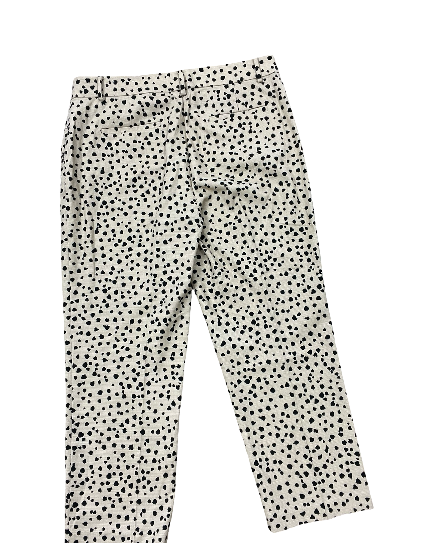 Pants Dress By Loft In Leopard Print, Size:14