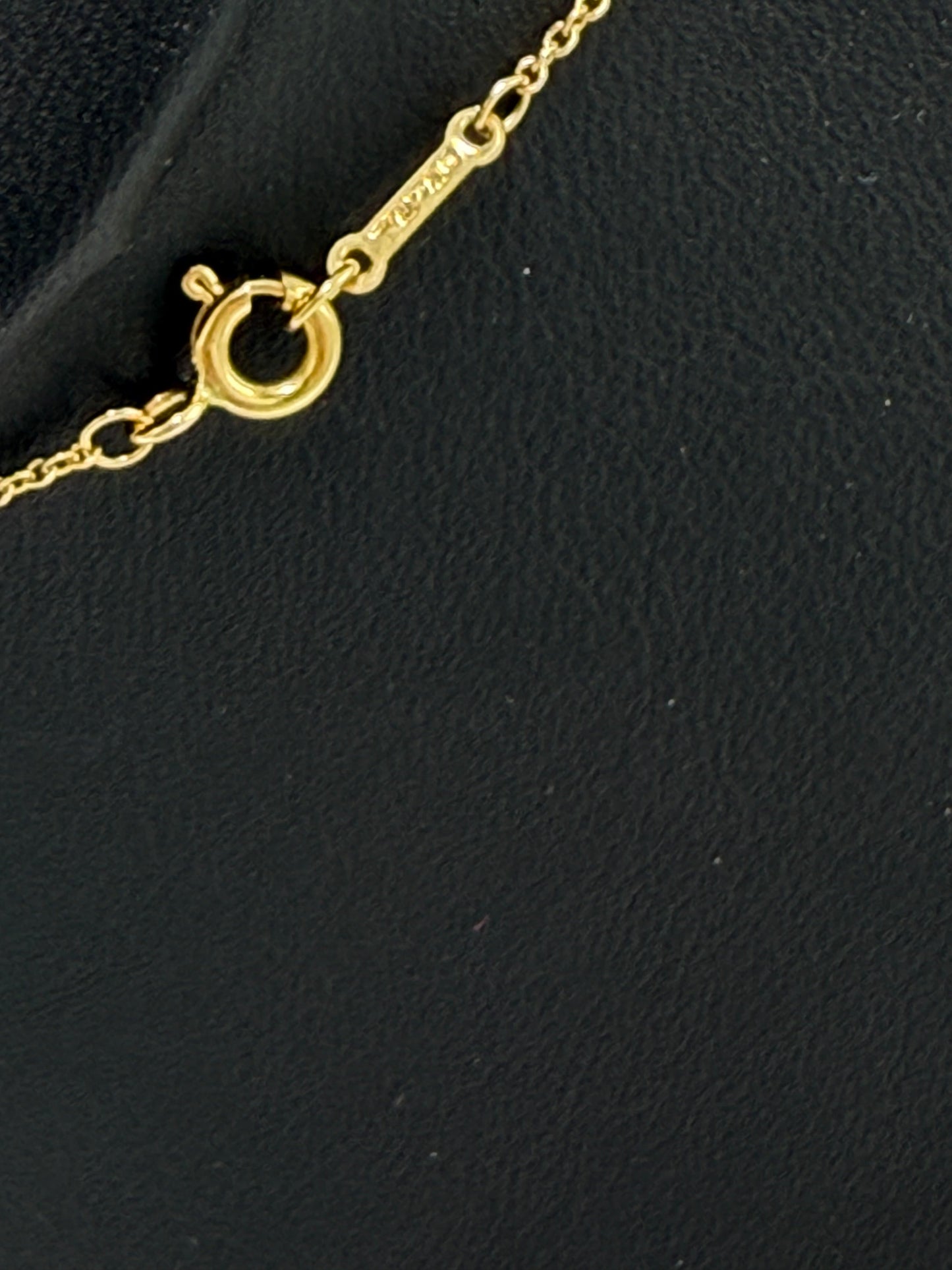 Tiffany and Company Palomas Graffiti 18k Luxury Necklace