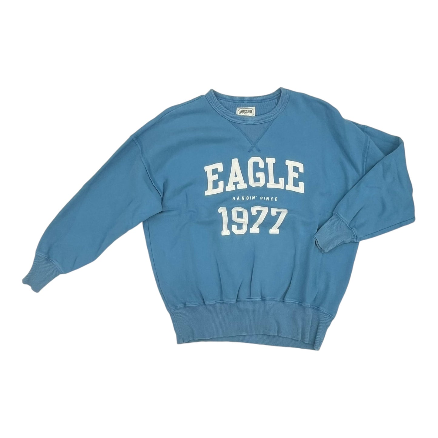 Sweatshirt Crewneck By American Eagle In Blue, Size:Xs