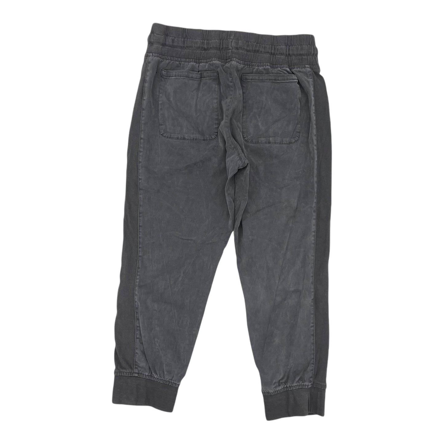 Pants Joggers By Time And Tru In Grey, Size:M