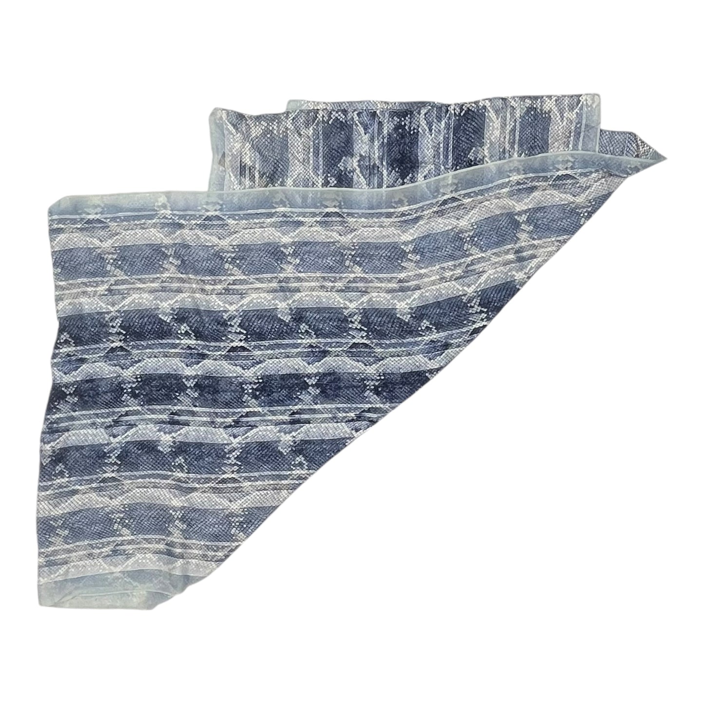 Scarf Long By Clothes Mentor In Blue & White