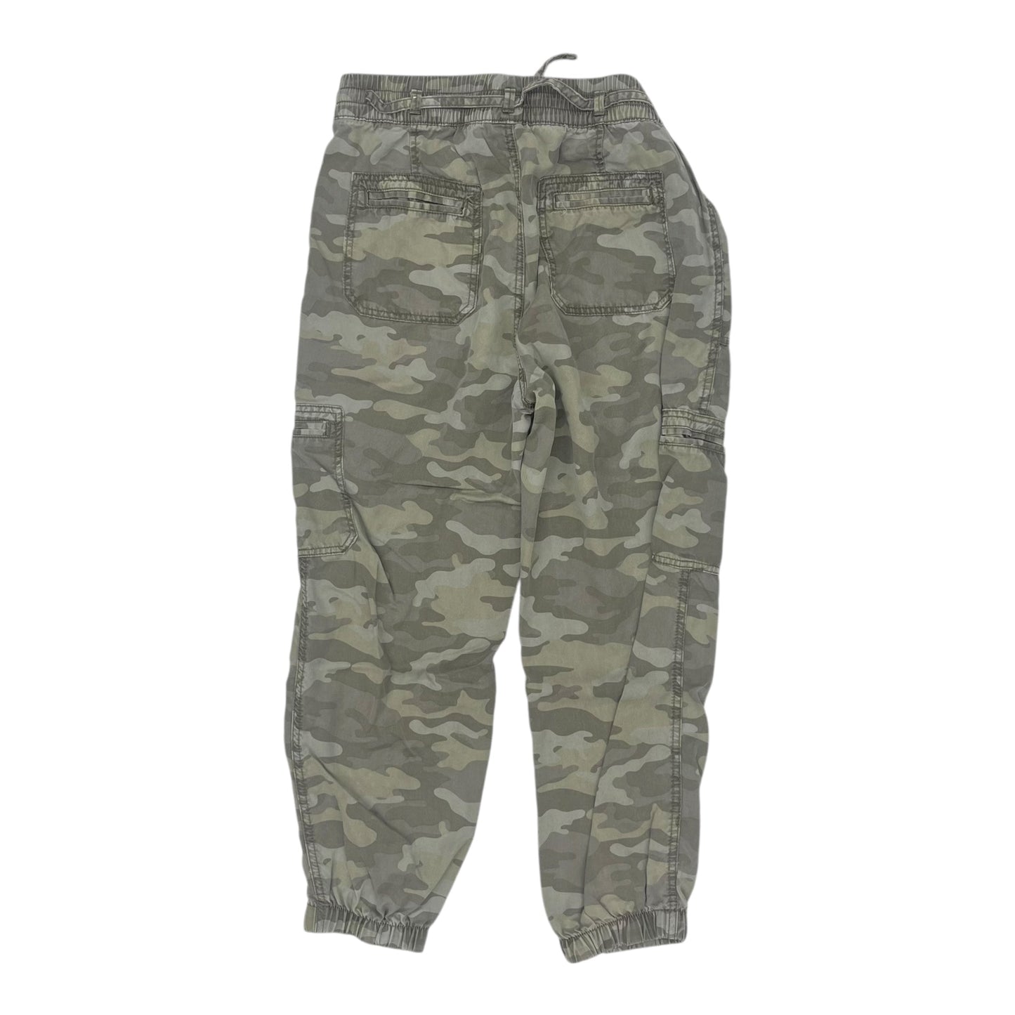 Pants Cargo & Utility By American Eagle In Camouflage Print, Size:M