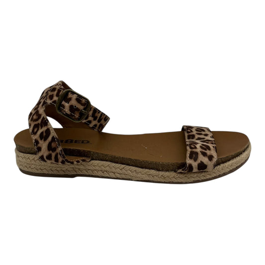 Sandals Flats By Cmf In Leopard Print, Size:7