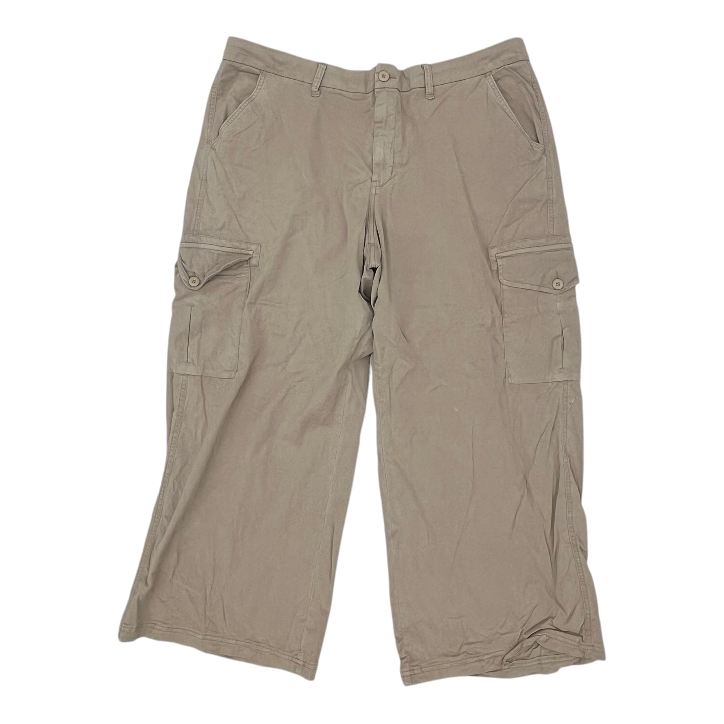 Pants Cargo & Utility By American Eagle In Tan, Size:20