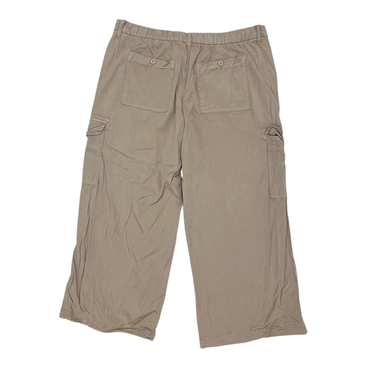 Pants Cargo & Utility By American Eagle In Tan, Size:20