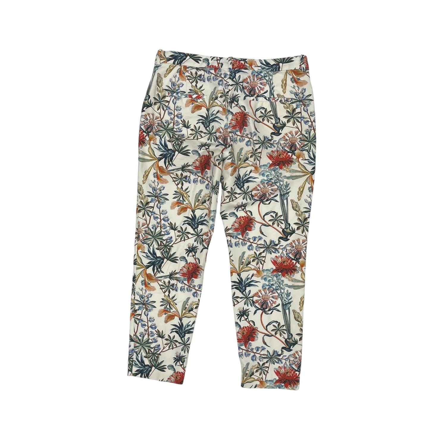 Pants Chinos & Khakis By Zara In Floral Print, Size:L