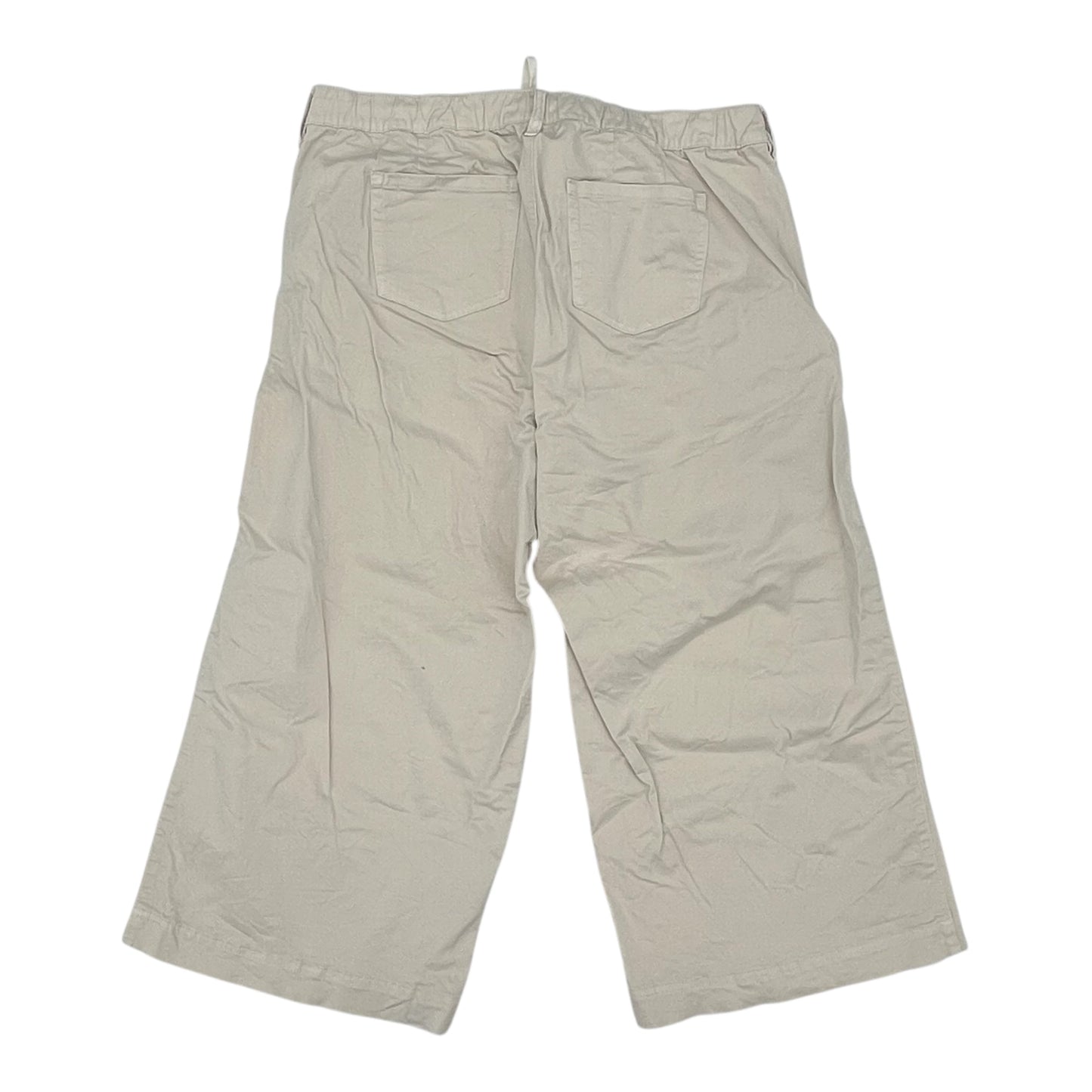 Pants Wide Leg By Torrid In Tan, Size:2X