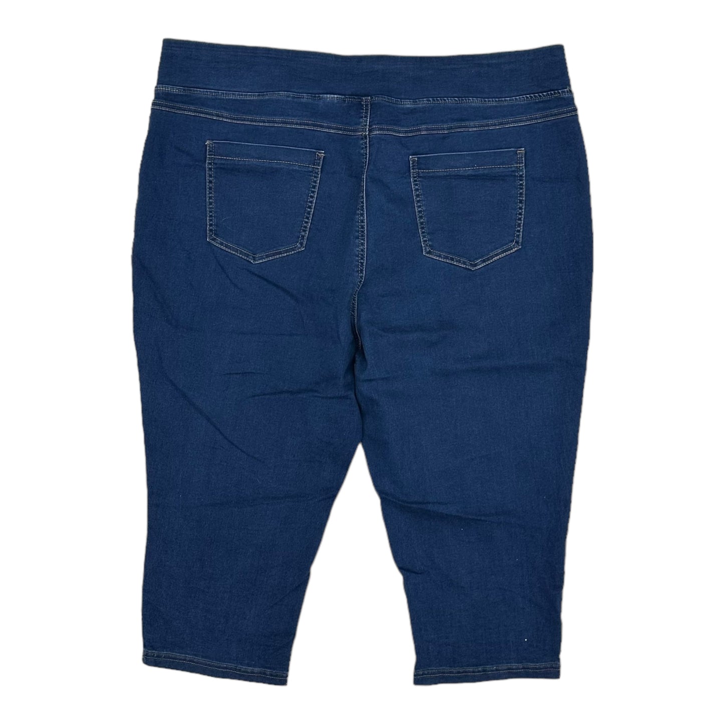 BLUE DENIM JEANS STRAIGHT by TERRA & SKY Size:2X