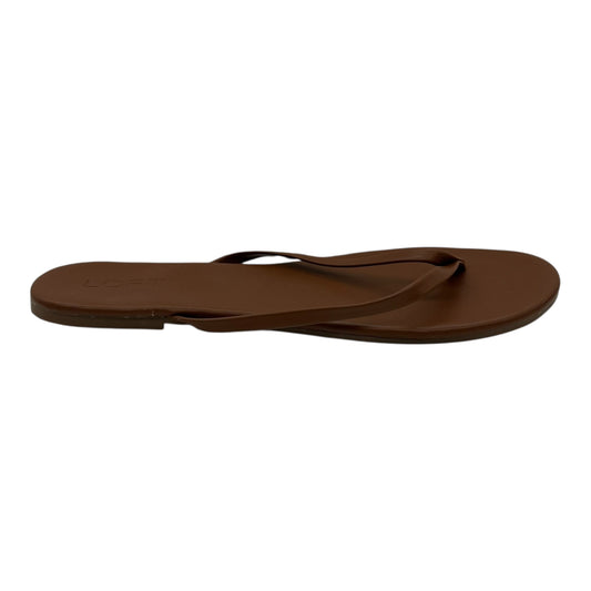 Sandals Flip Flops By Loft In Brown, Size:10