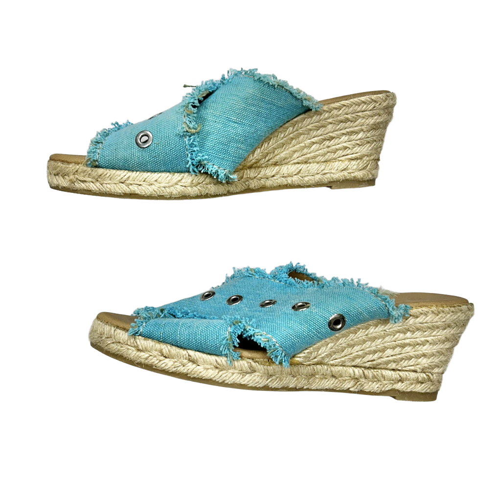 Shoes Heels Wedge By Anthropologie  Size: 9