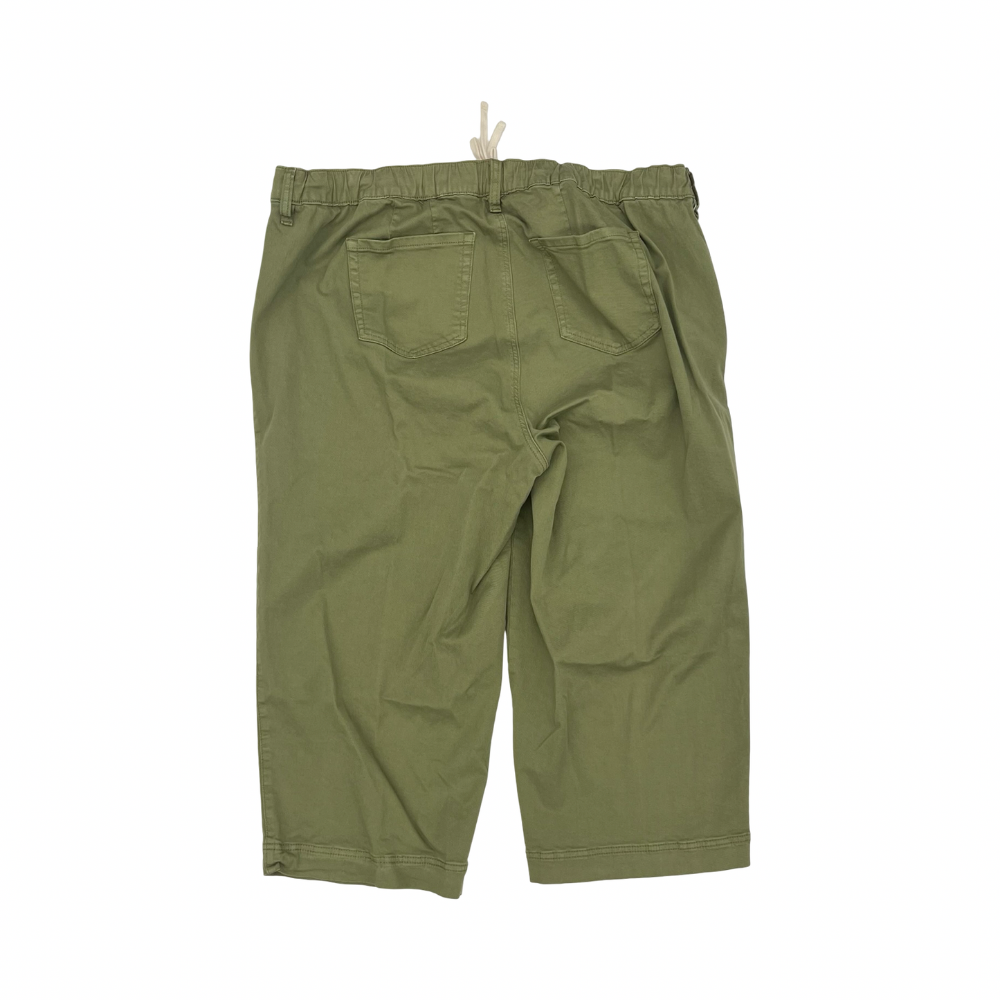 Pants Other By Torrid In Green, Size:3X
