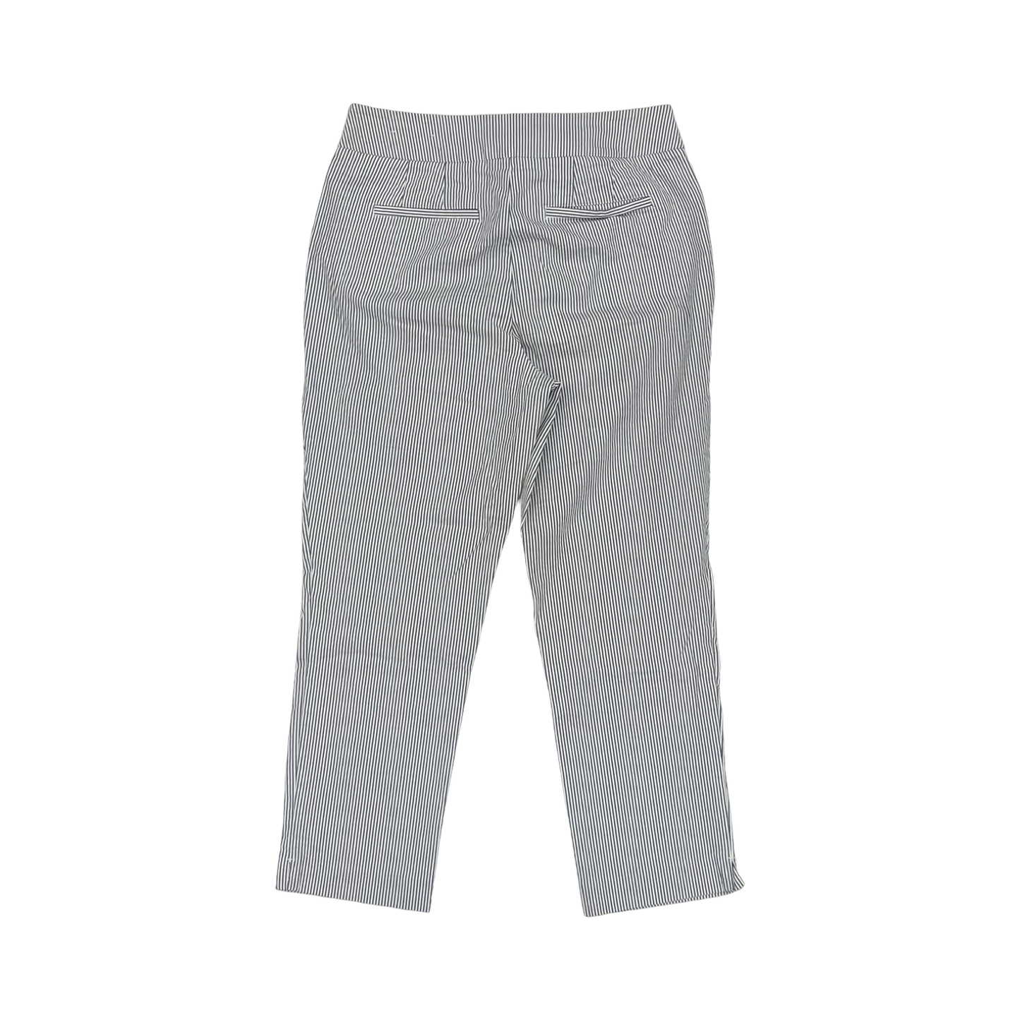 Pants Chinos & Khakis By Ann Taylor In Blue & White, Size:2