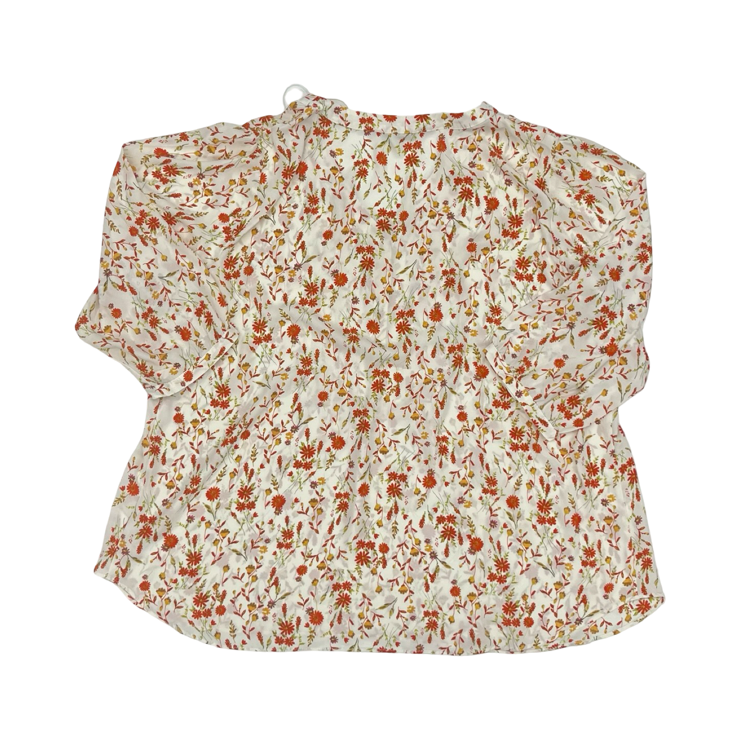 Blouse 3/4 Sleeve By Rose And Olive In Floral Print, Size:2X