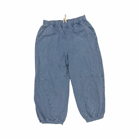 Pants Other By Aerie In Blue, Size:Xl