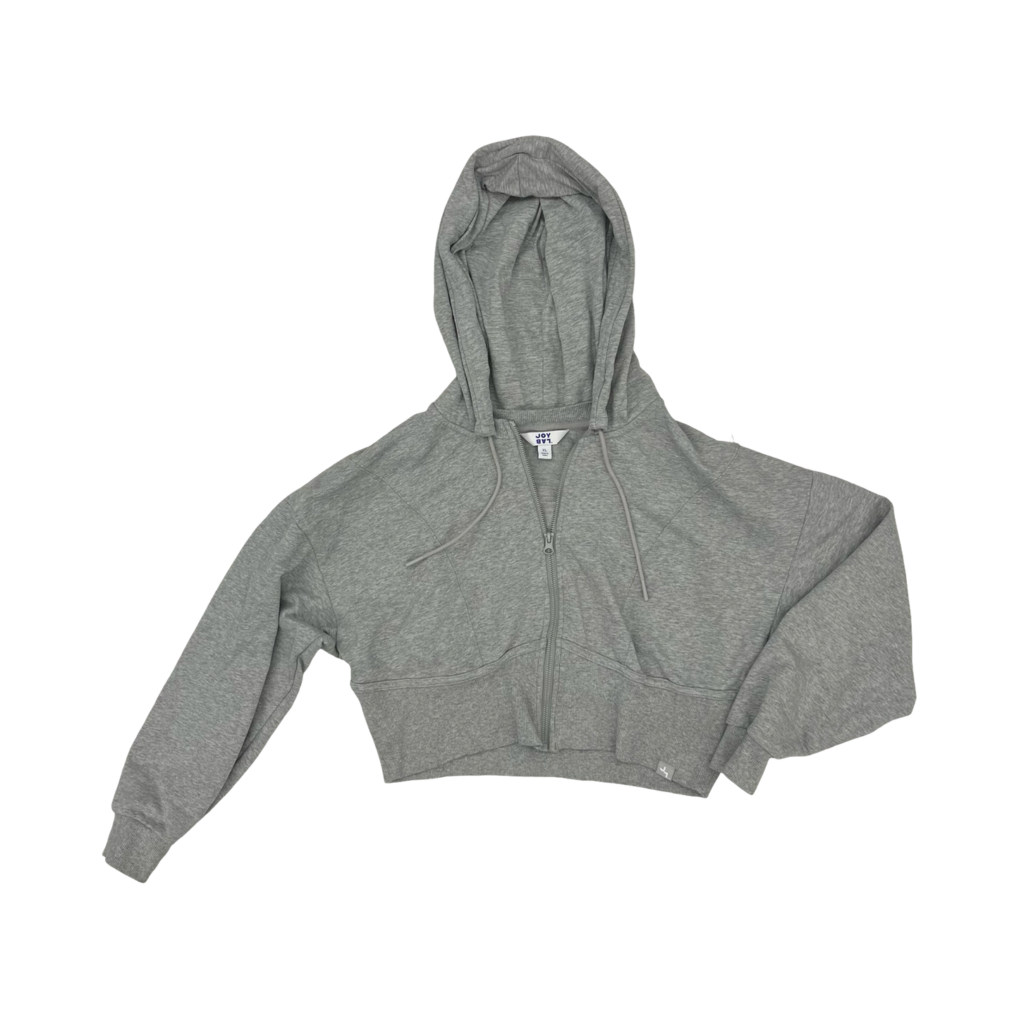 Sweatshirt Hoodie By Joy Lab In Grey, Size:Xl