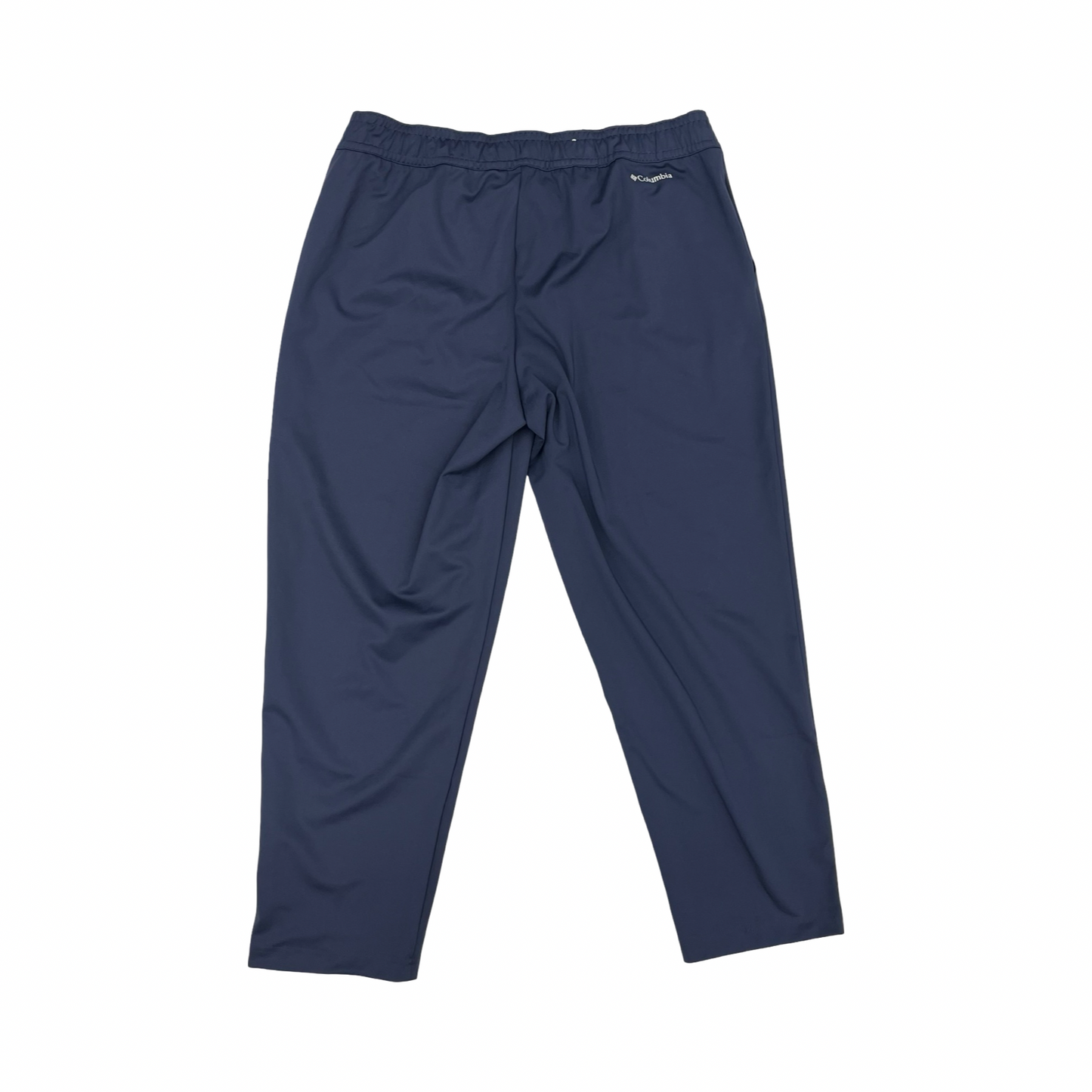 Athletic Pants By Columbia In Blue, Size:L