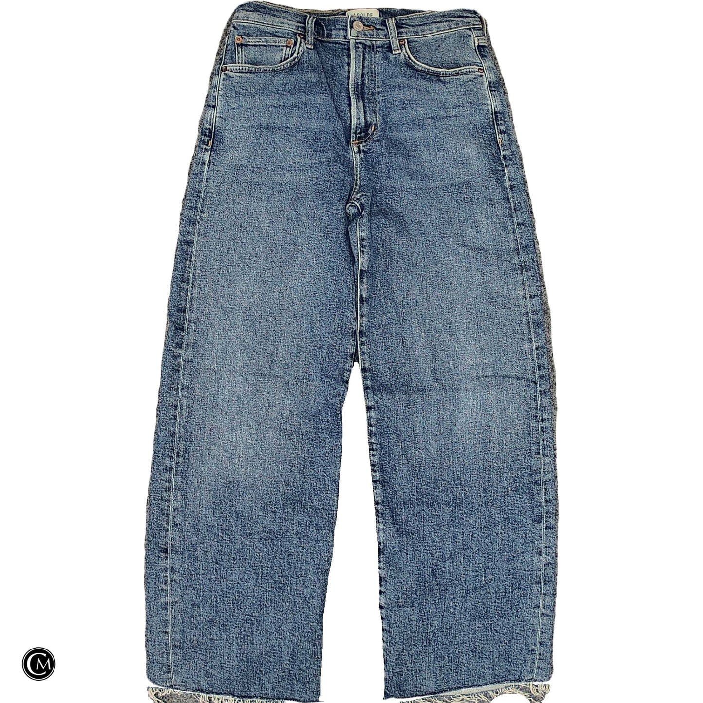 Jeans Designer By Agolde In Blue Denim, Size: 2 image 1