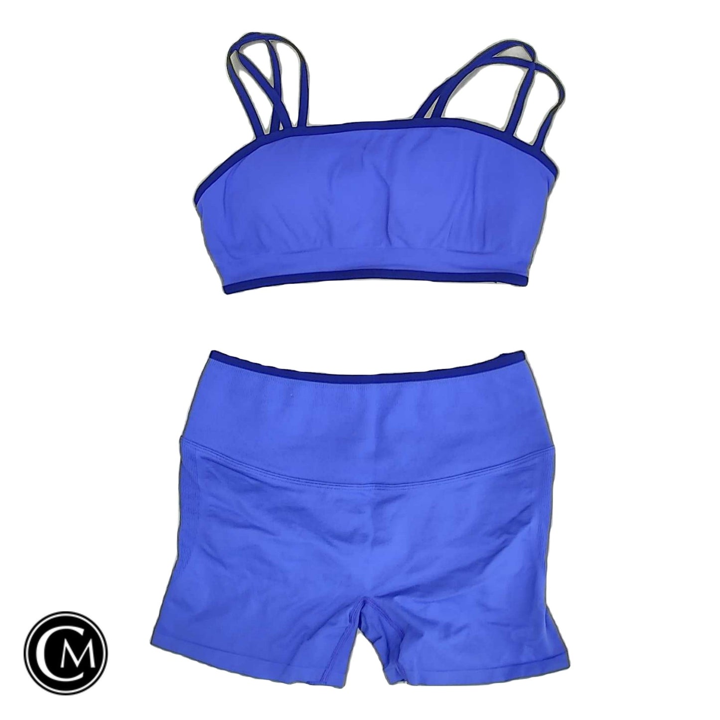Athletic Shorts 2pc By Fabletics In Blue & Purple, Size: M